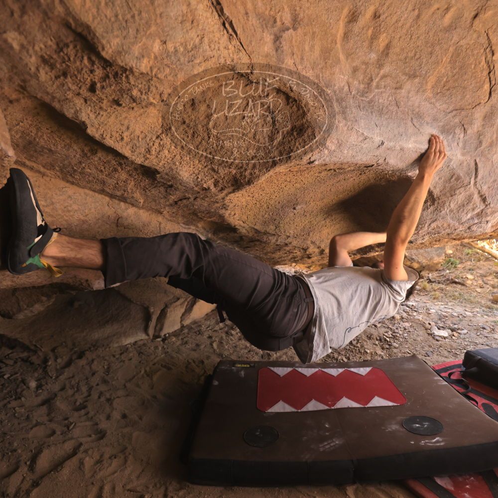 

Filename: SRM_20260118_1257460.jpg
Aperture: f/4.0
Shutter Speed: 1/400
Body: Canon EOS R6
Lens: Canon EF 16-35mm f/2.8 L