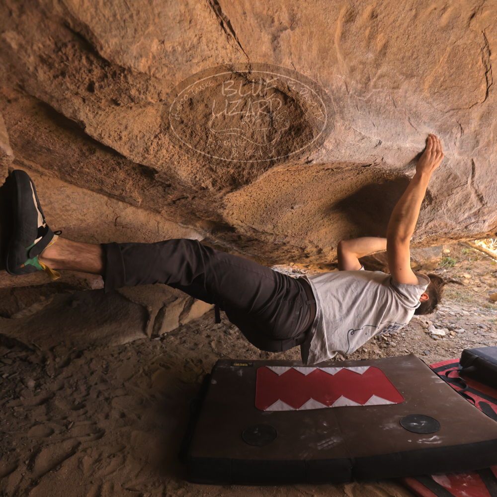 

Filename: SRM_20260118_1257461.jpg
Aperture: f/4.0
Shutter Speed: 1/400
Body: Canon EOS R6
Lens: Canon EF 16-35mm f/2.8 L