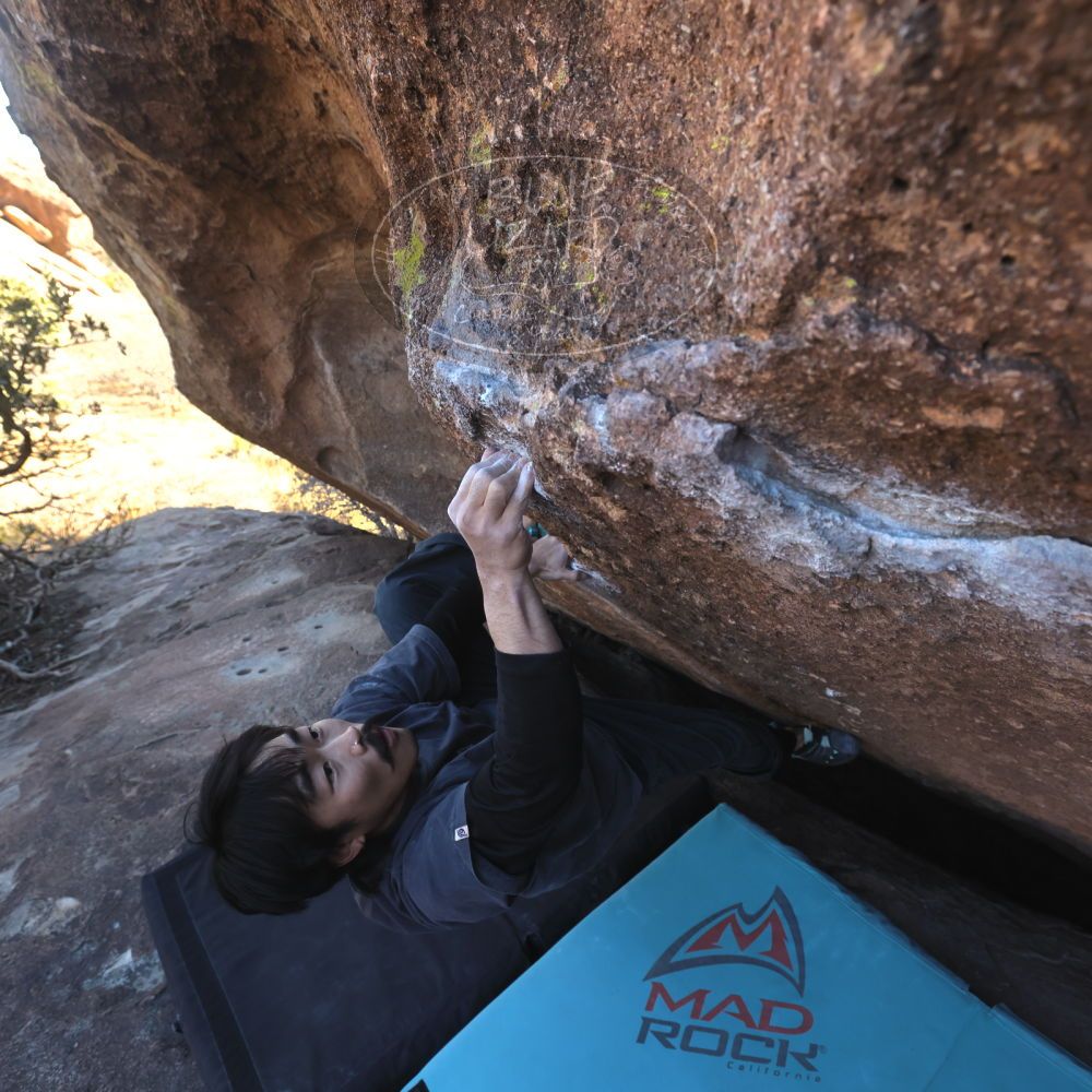 Filename: SRM_20260118_1359330.jpg
Aperture: f/5.6
Shutter Speed: 1/400
Body: Canon EOS R6
Lens: Canon EF 16-35mm f/2.8 L