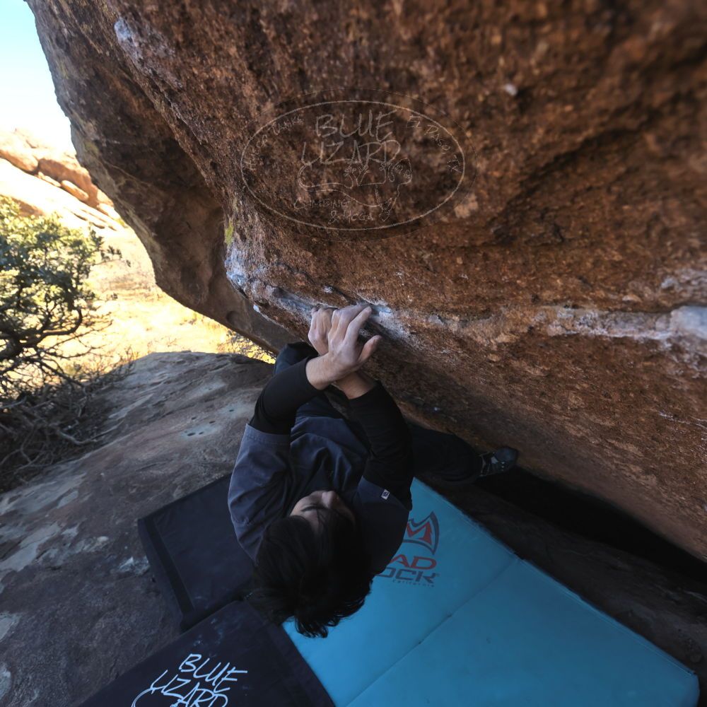 

Filename: SRM_20260118_1359390.jpg
Aperture: f/5.6
Shutter Speed: 1/400
Body: Canon EOS R6
Lens: Canon EF 16-35mm f/2.8 L