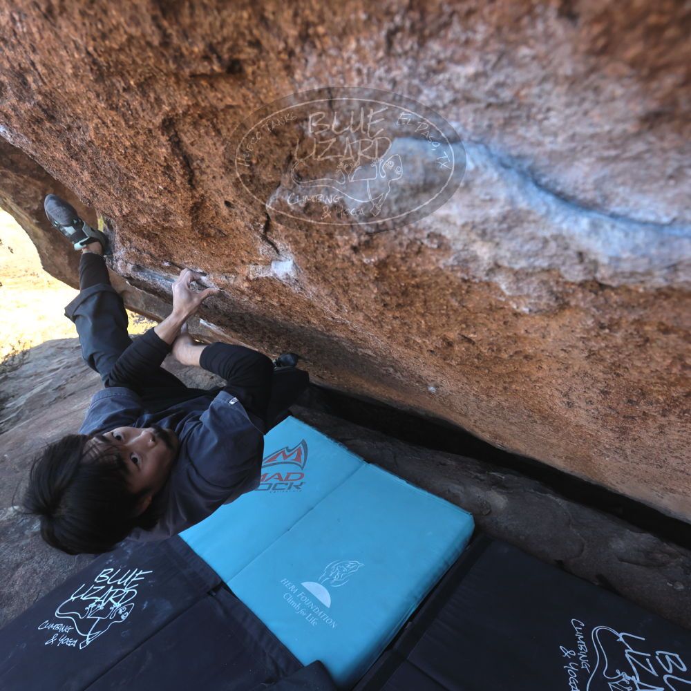 Filename: SRM_20260118_1359480.jpg
Aperture: f/5.6
Shutter Speed: 1/400
Body: Canon EOS R6
Lens: Canon EF 16-35mm f/2.8 L