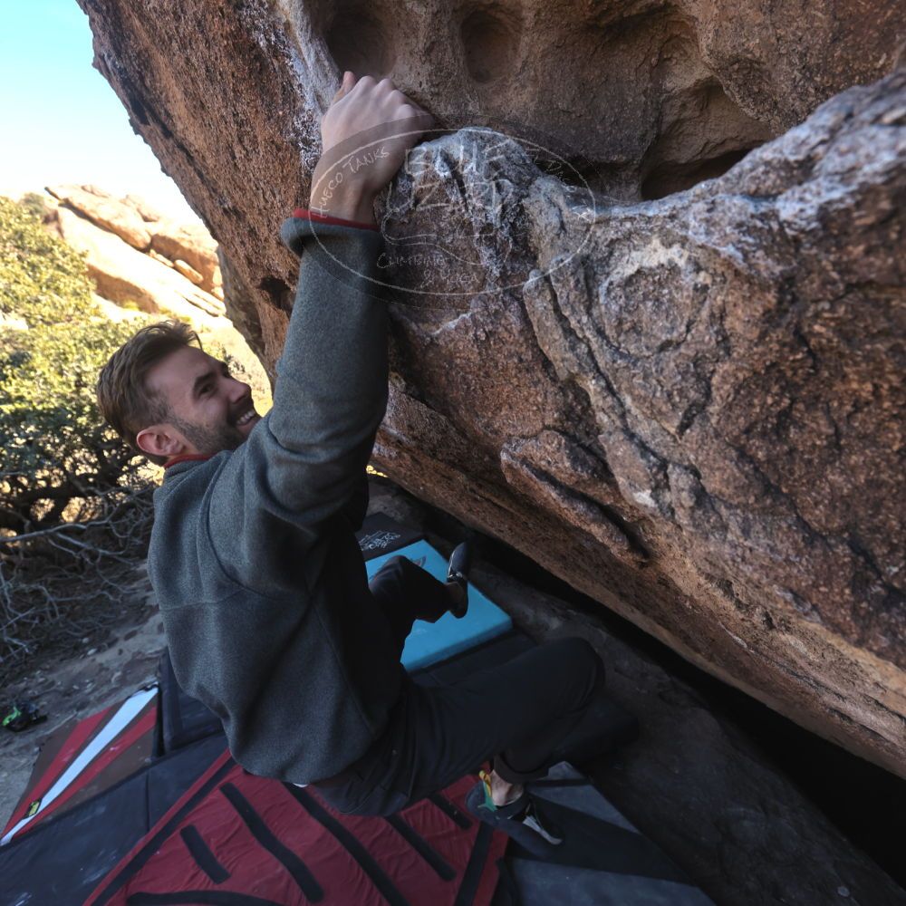 Filename: SRM_20260118_1402210.jpg
Aperture: f/5.6
Shutter Speed: 1/400
Body: Canon EOS R6
Lens: Canon EF 16-35mm f/2.8 L