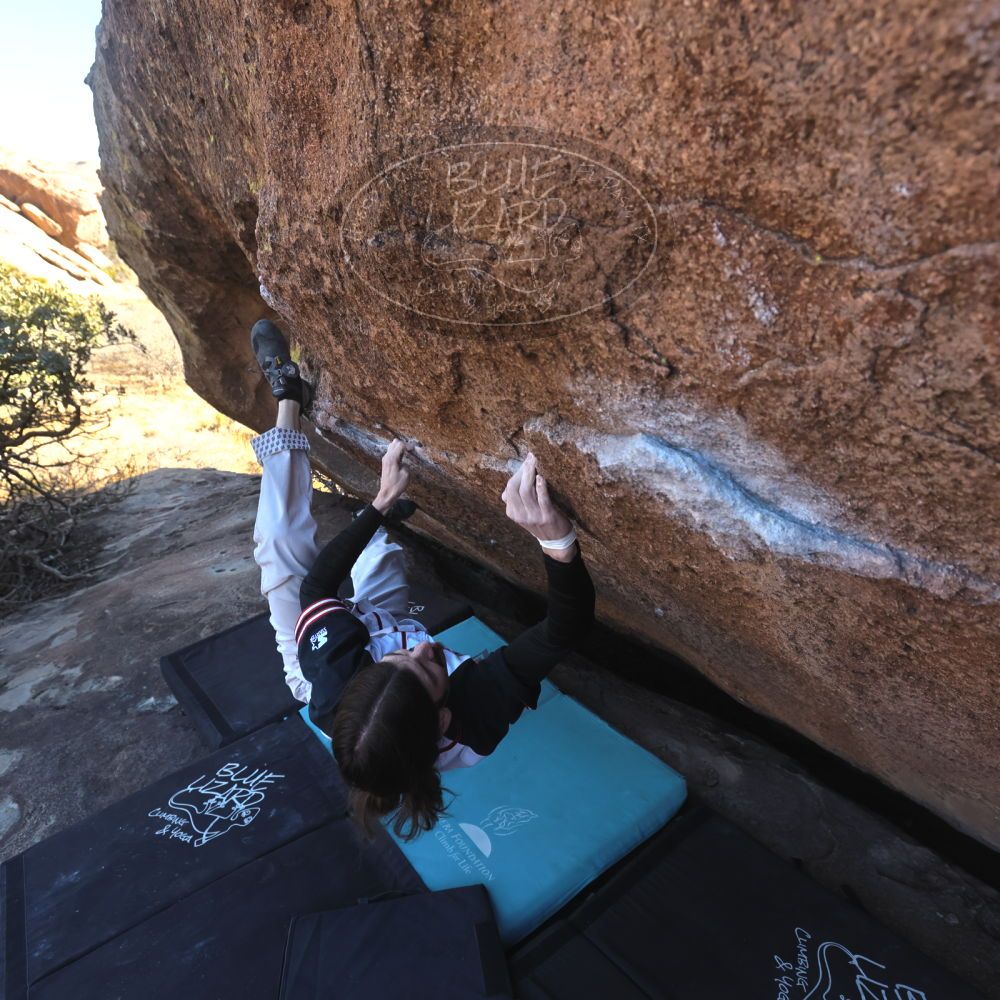 

Filename: SRM_20260118_1404350.jpg
Aperture: f/5.6
Shutter Speed: 1/400
Body: Canon EOS R6
Lens: Canon EF 16-35mm f/2.8 L