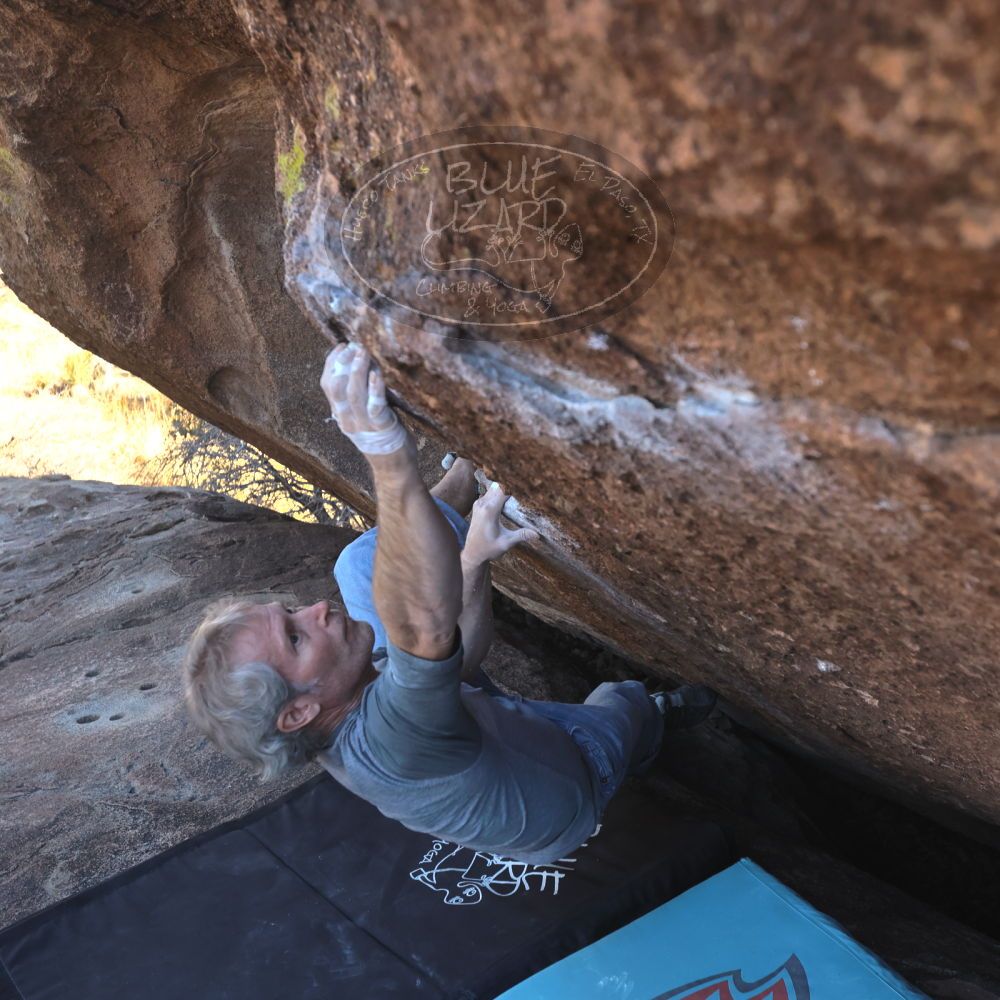 

Filename: SRM_20260118_1405310.jpg
Aperture: f/5.6
Shutter Speed: 1/400
Body: Canon EOS R6
Lens: Canon EF 16-35mm f/2.8 L