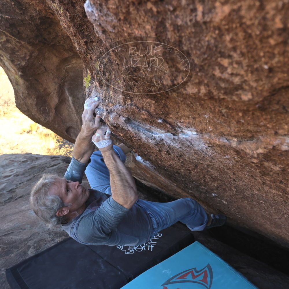 Filename: SRM_20260118_1405340.jpg
Aperture: f/5.6
Shutter Speed: 1/400
Body: Canon EOS R6
Lens: Canon EF 16-35mm f/2.8 L