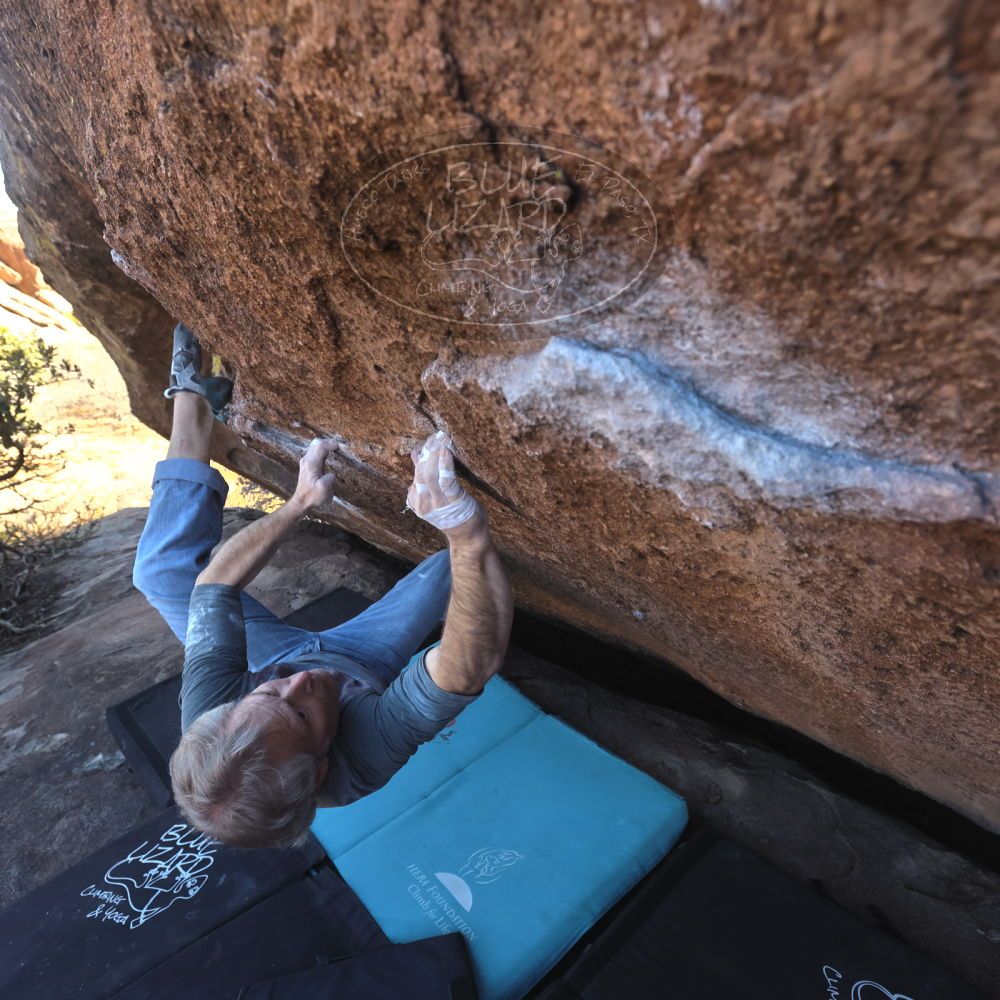 Filename: SRM_20260118_1405470.jpg
Aperture: f/5.6
Shutter Speed: 1/400
Body: Canon EOS R6
Lens: Canon EF 16-35mm f/2.8 L