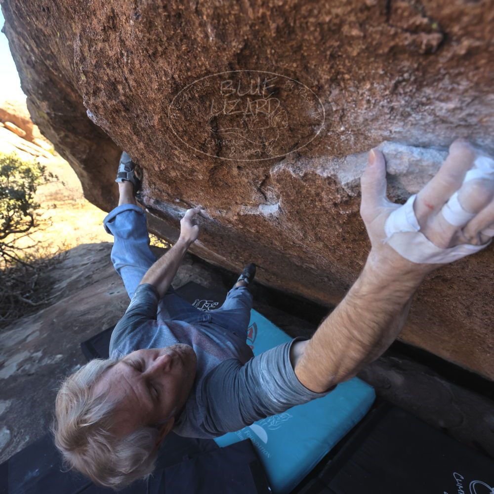 Filename: SRM_20260118_1406481.jpg
Aperture: f/5.6
Shutter Speed: 1/400
Body: Canon EOS R6
Lens: Canon EF 16-35mm f/2.8 L