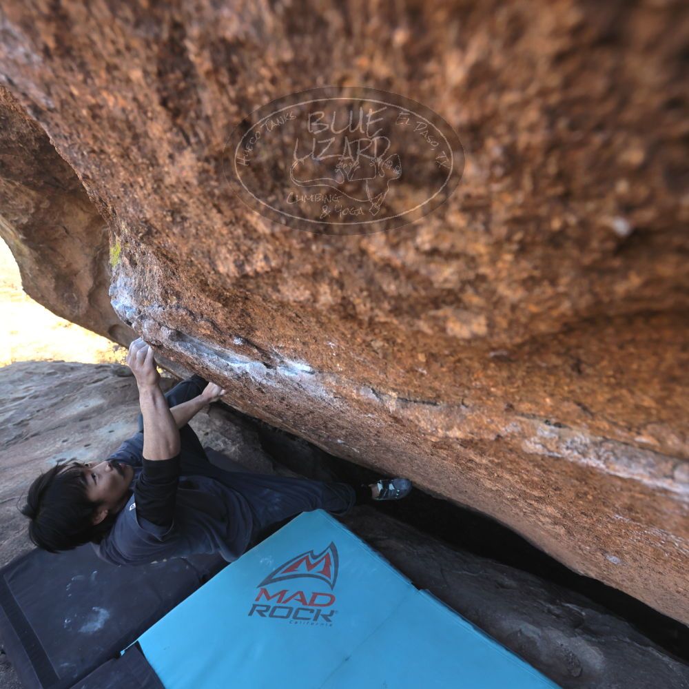 

Filename: SRM_20260118_1409130.jpg
Aperture: f/5.6
Shutter Speed: 1/400
Body: Canon EOS R6
Lens: Canon EF 16-35mm f/2.8 L