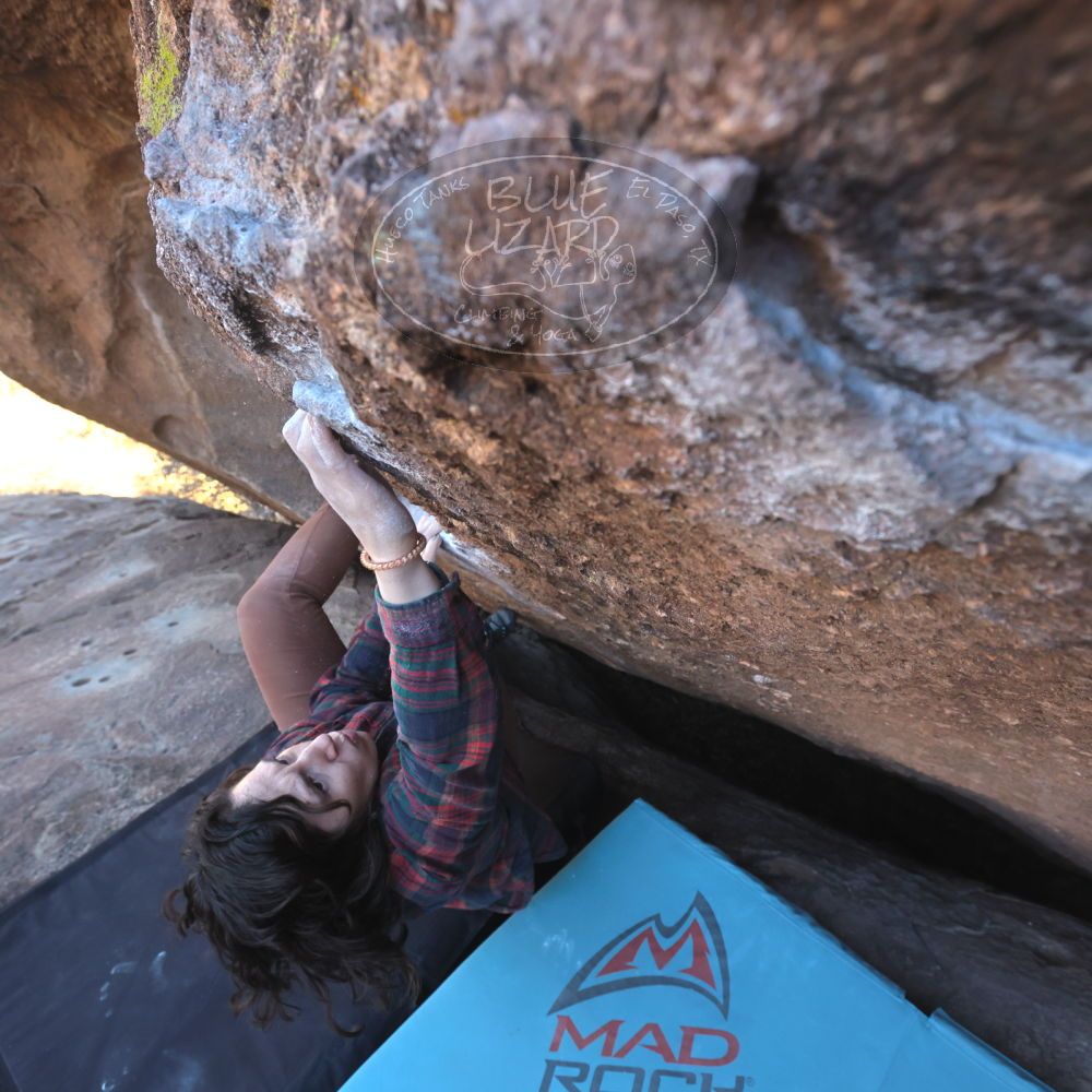 

Filename: SRM_20260118_1410420.jpg
Aperture: f/5.6
Shutter Speed: 1/400
Body: Canon EOS R6
Lens: Canon EF 16-35mm f/2.8 L