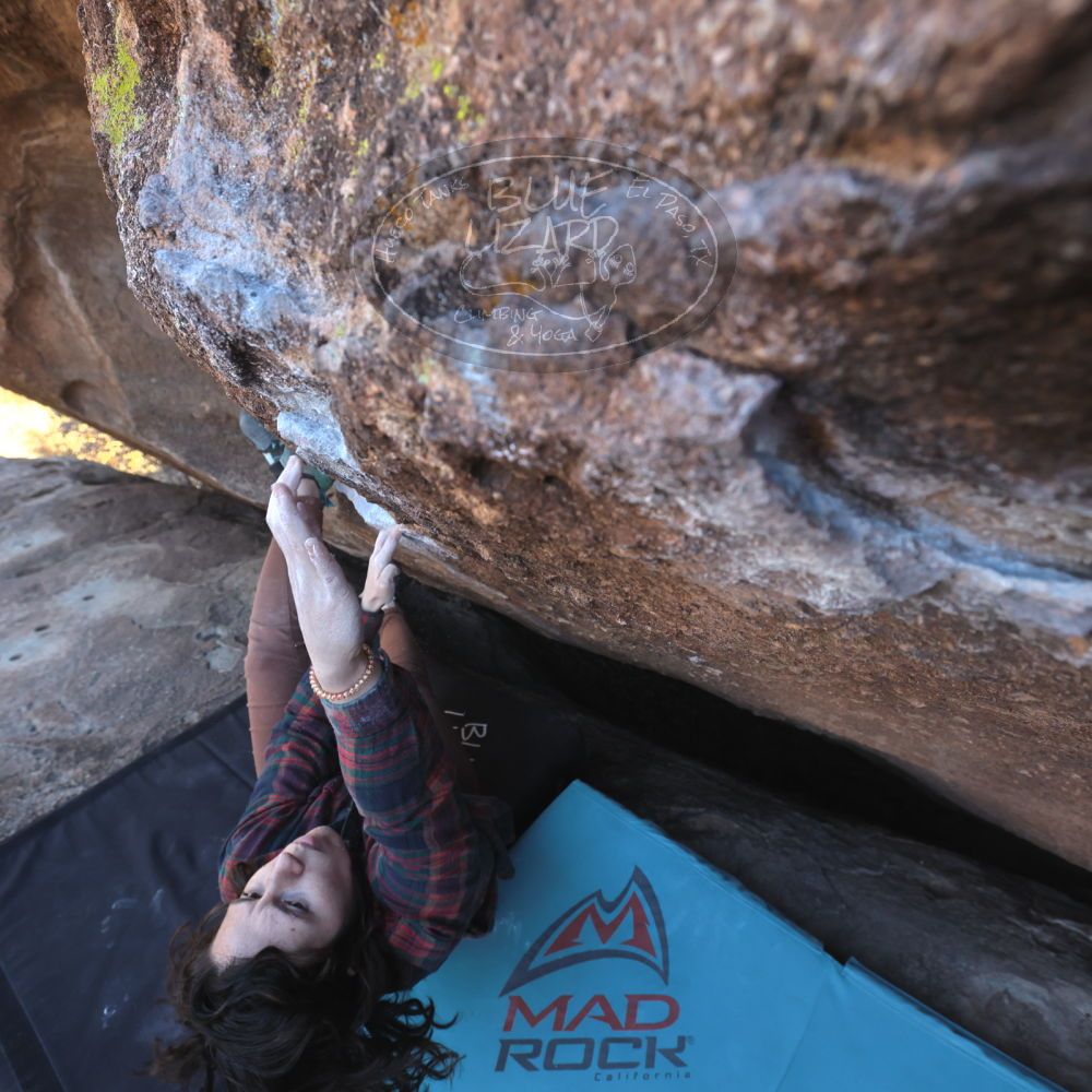 Filename: SRM_20260118_1412460.jpg
Aperture: f/5.6
Shutter Speed: 1/400
Body: Canon EOS R6
Lens: Canon EF 16-35mm f/2.8 L