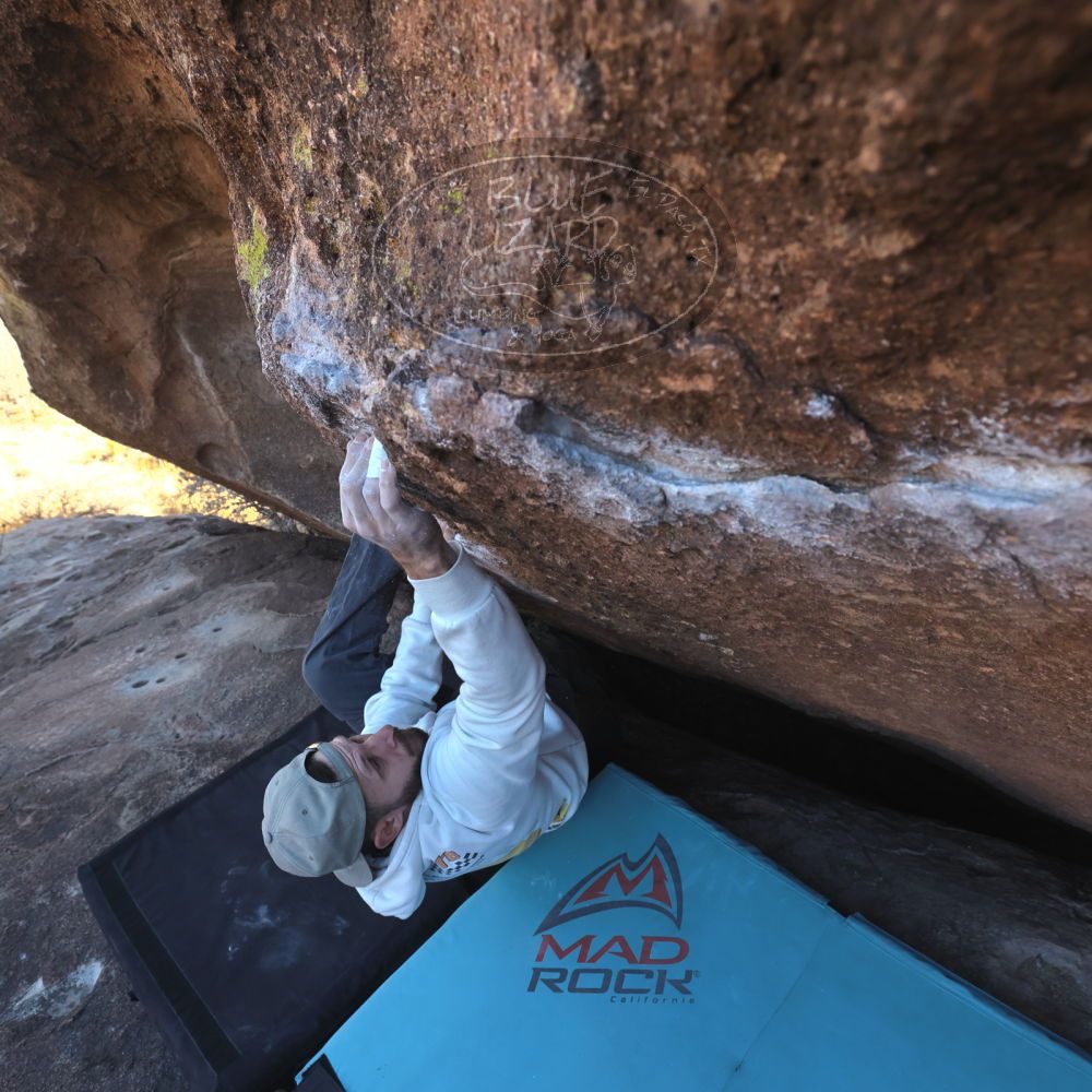 

Filename: SRM_20260118_1417350.jpg
Aperture: f/5.6
Shutter Speed: 1/400
Body: Canon EOS R6
Lens: Canon EF 16-35mm f/2.8 L