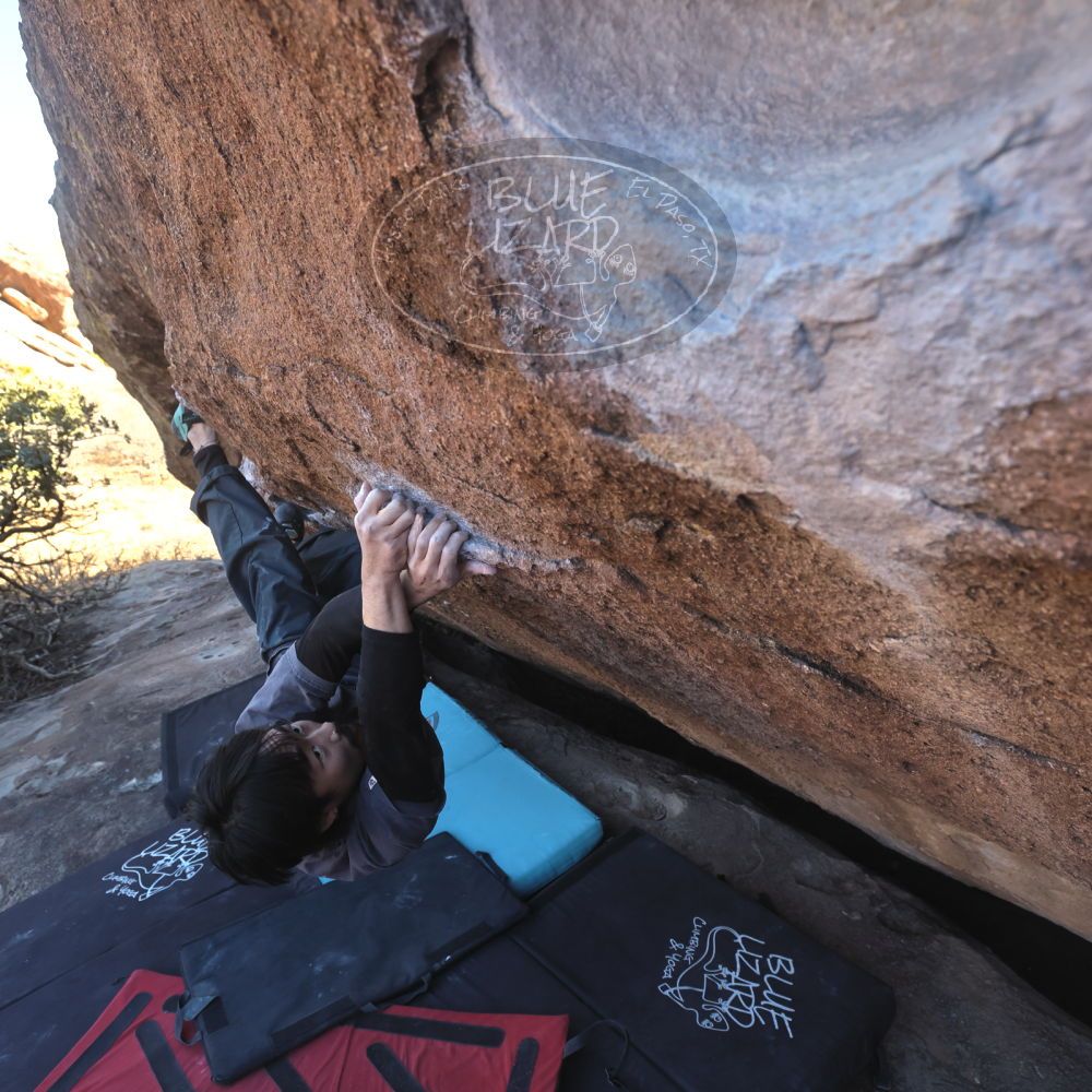 

Filename: SRM_20260118_1420100.jpg
Aperture: f/5.6
Shutter Speed: 1/400
Body: Canon EOS R6
Lens: Canon EF 16-35mm f/2.8 L