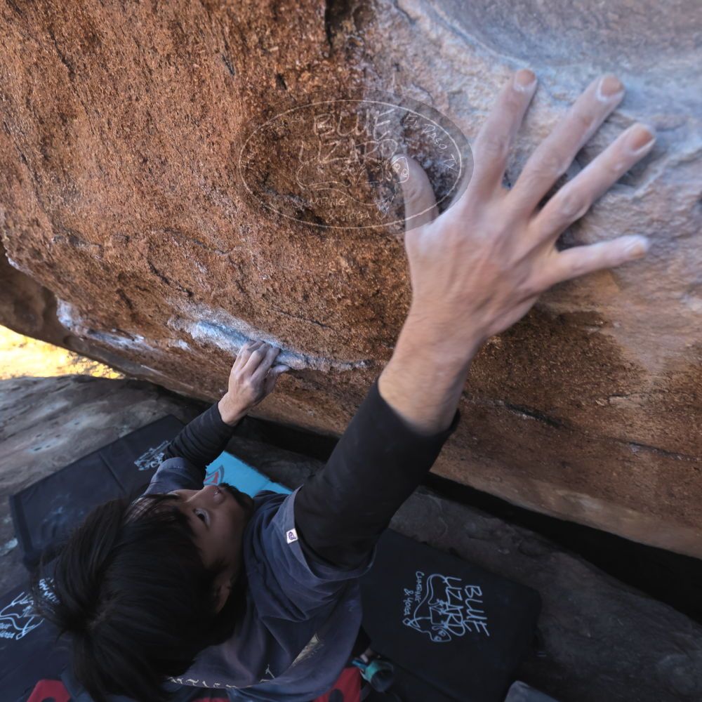 

Filename: SRM_20260118_1420401.jpg
Aperture: f/5.6
Shutter Speed: 1/400
Body: Canon EOS R6
Lens: Canon EF 16-35mm f/2.8 L