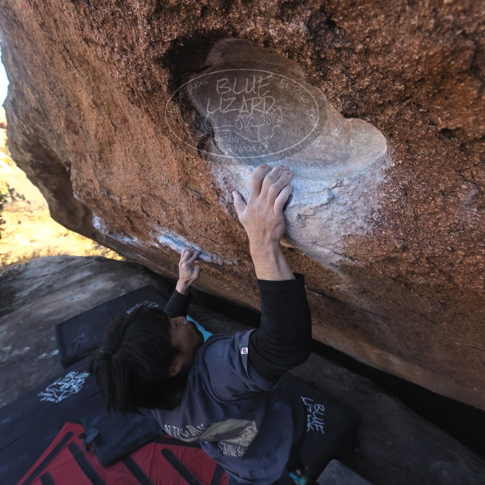 

Filename: SRM_20260118_1421181.jpg
Aperture: f/5.6
Shutter Speed: 1/400
Body: Canon EOS R6
Lens: Canon EF 16-35mm f/2.8 L