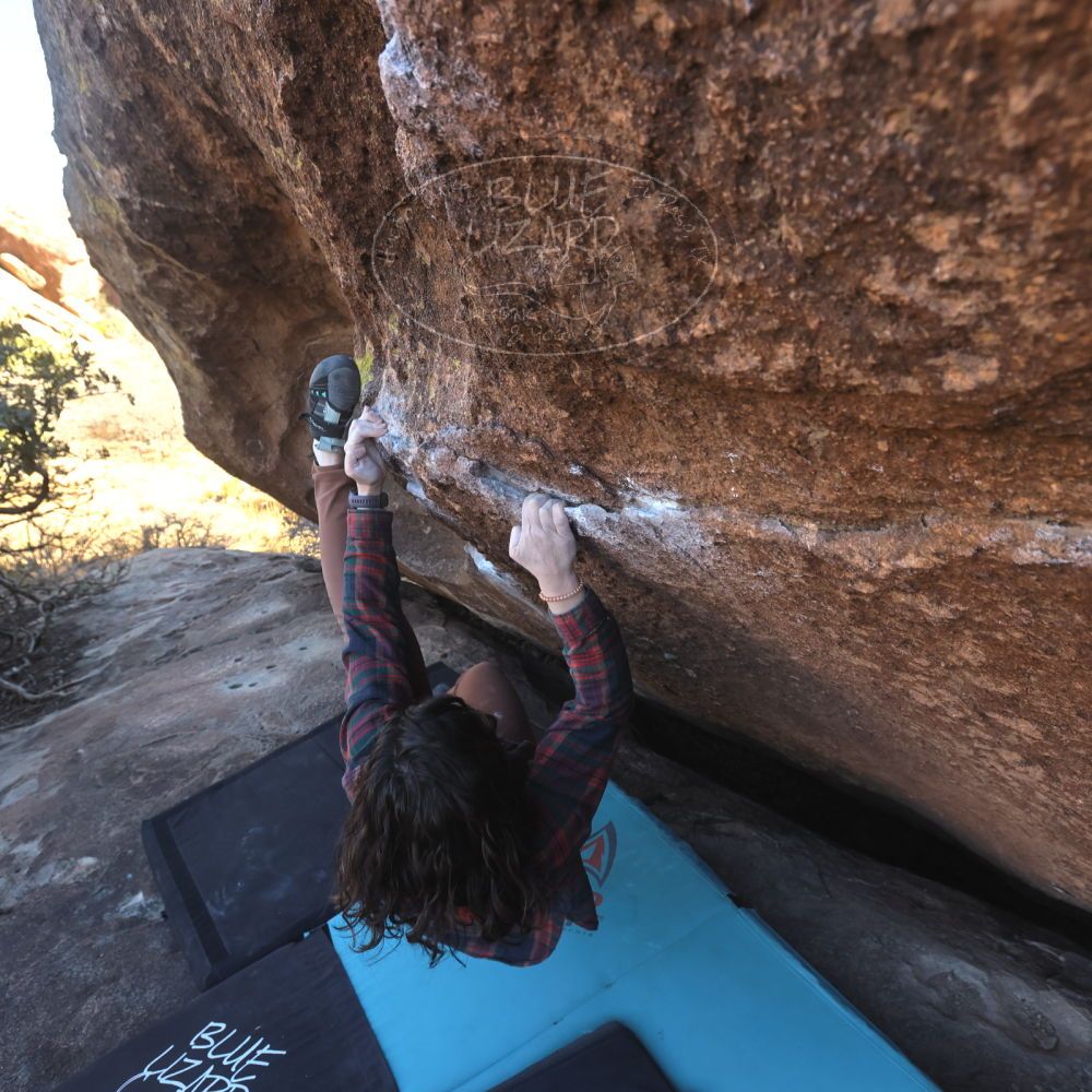 Filename: SRM_20260118_1432030.jpg
Aperture: f/5.6
Shutter Speed: 1/400
Body: Canon EOS R6
Lens: Canon EF 16-35mm f/2.8 L