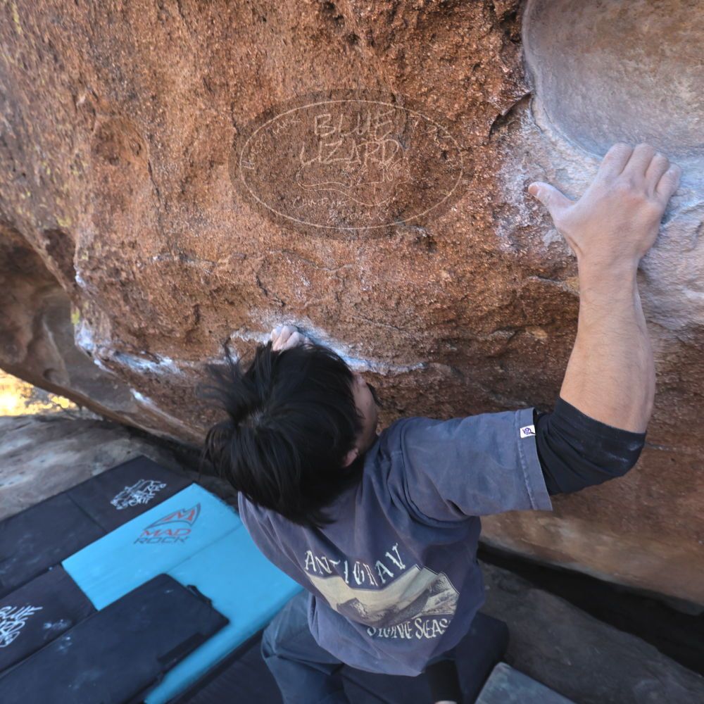 Filename: SRM_20260118_1442440.jpg
Aperture: f/5.6
Shutter Speed: 1/400
Body: Canon EOS R6
Lens: Canon EF 16-35mm f/2.8 L