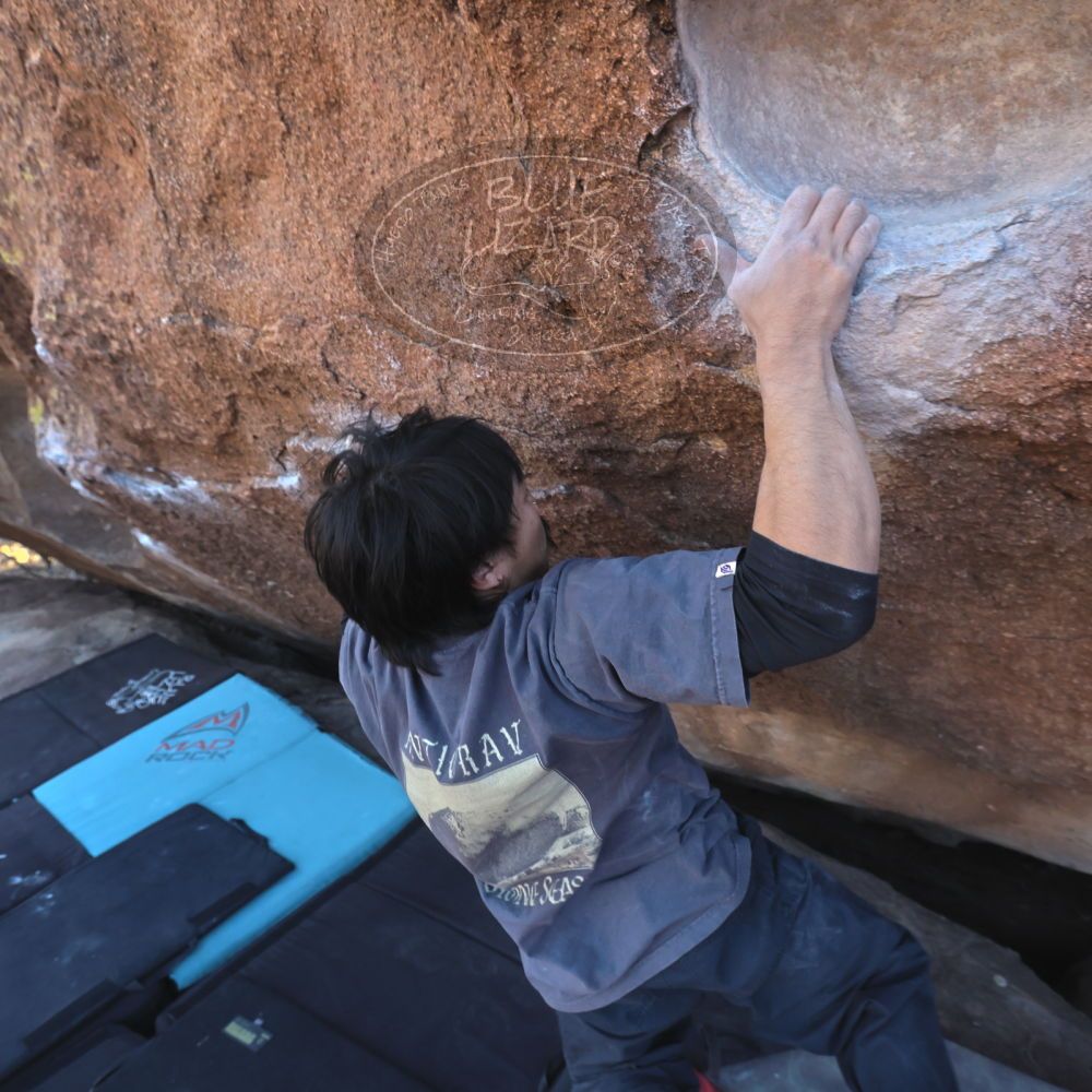 

Filename: SRM_20260118_1442441.jpg
Aperture: f/5.6
Shutter Speed: 1/400
Body: Canon EOS R6
Lens: Canon EF 16-35mm f/2.8 L