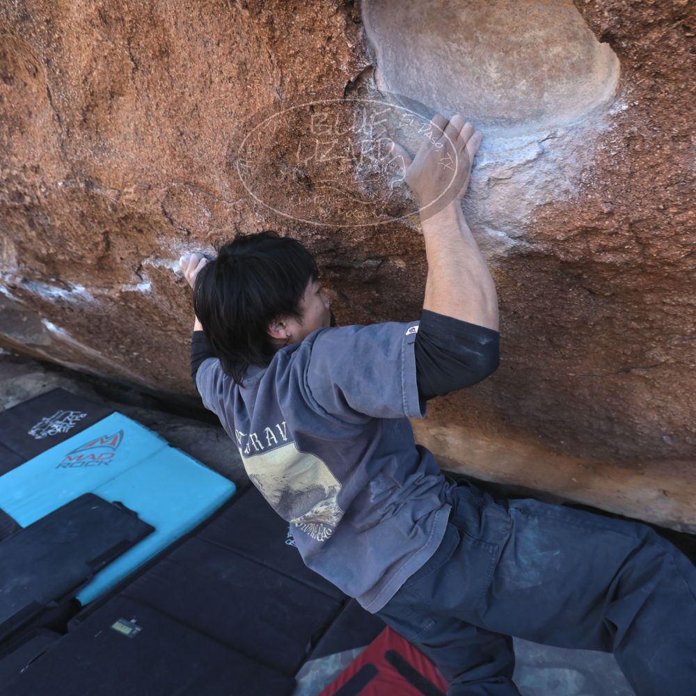 

Filename: SRM_20260118_1442442.jpg
Aperture: f/5.6
Shutter Speed: 1/400
Body: Canon EOS R6
Lens: Canon EF 16-35mm f/2.8 L