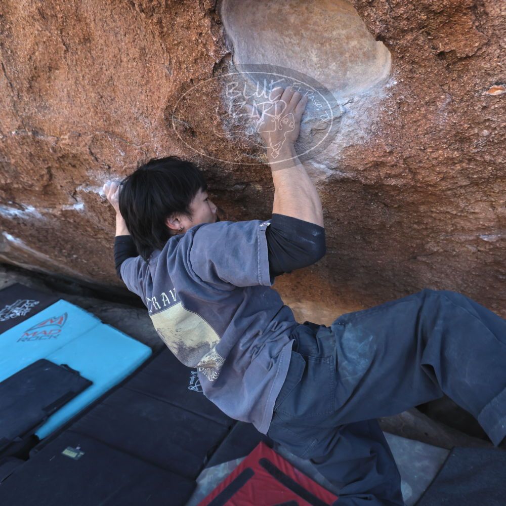 Filename: SRM_20260118_1442443.jpg
Aperture: f/5.6
Shutter Speed: 1/400
Body: Canon EOS R6
Lens: Canon EF 16-35mm f/2.8 L