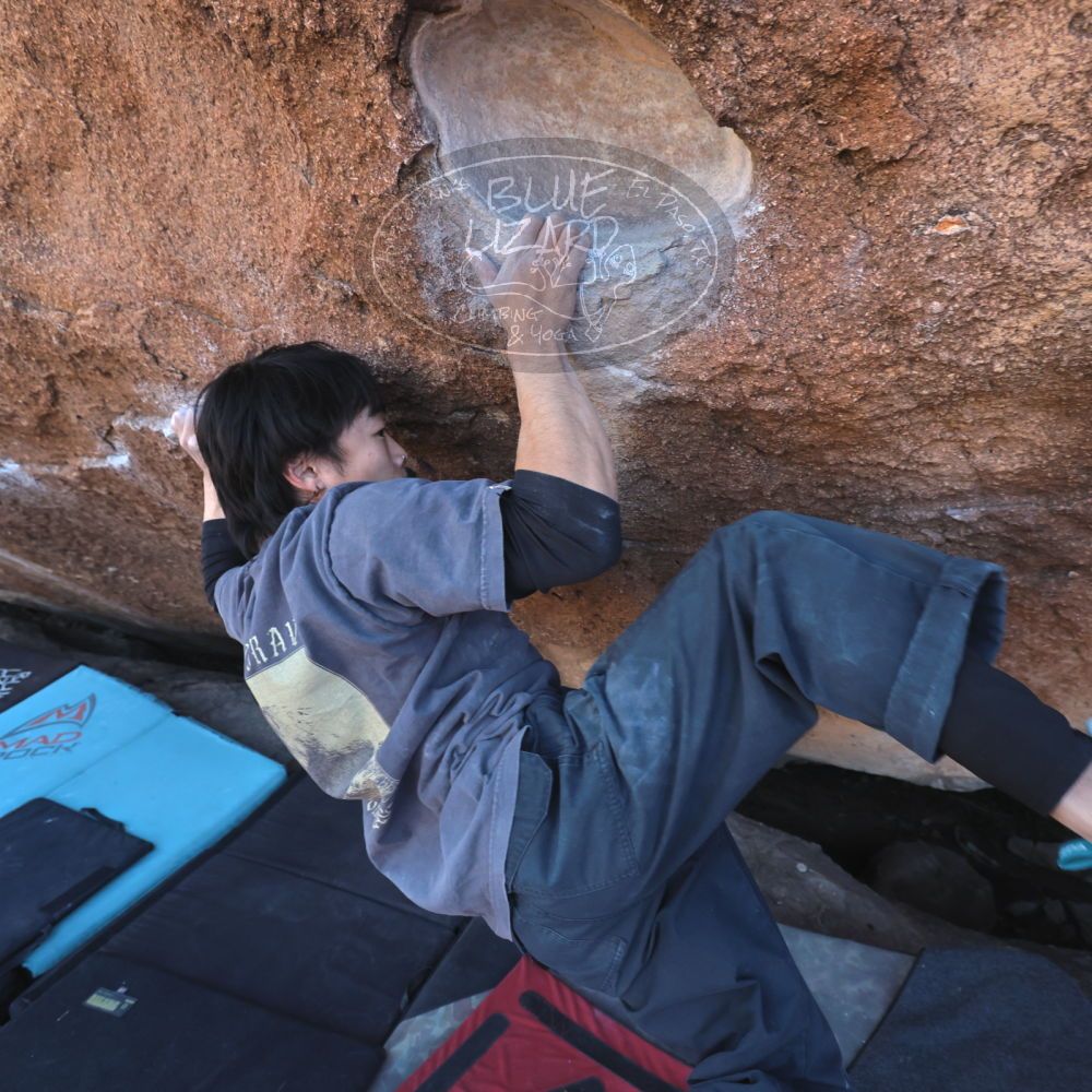 

Filename: SRM_20260118_1442444.jpg
Aperture: f/5.6
Shutter Speed: 1/400
Body: Canon EOS R6
Lens: Canon EF 16-35mm f/2.8 L