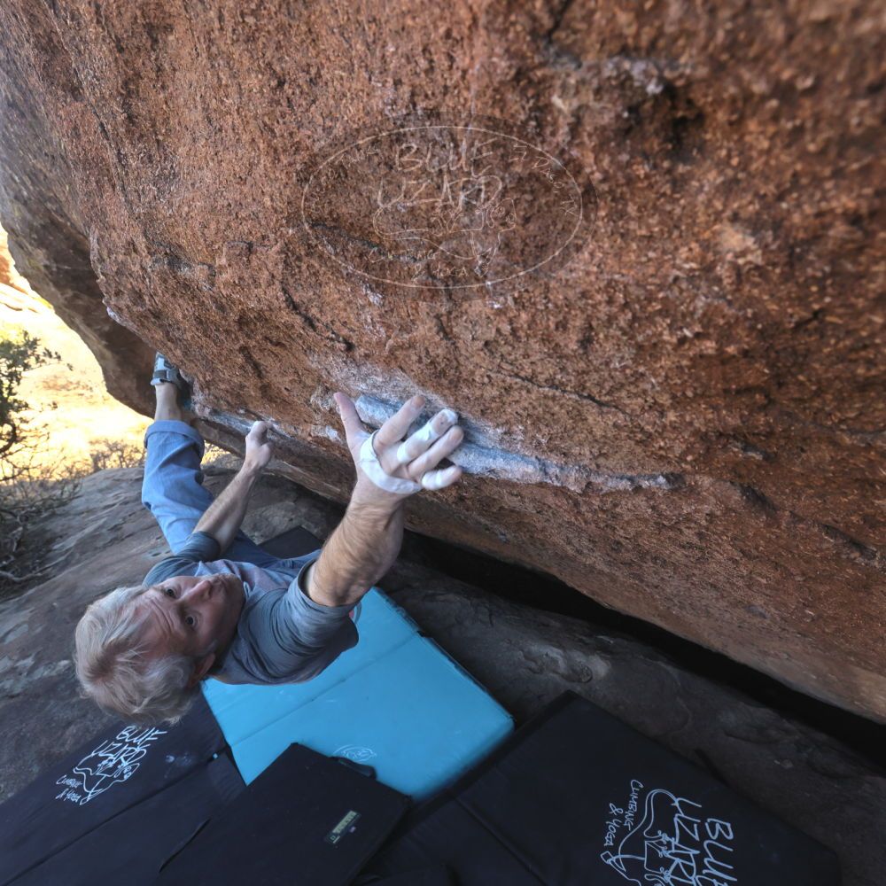 

Filename: SRM_20260118_1447370.jpg
Aperture: f/7.1
Shutter Speed: 1/400
Body: Canon EOS R6
Lens: Canon EF 16-35mm f/2.8 L