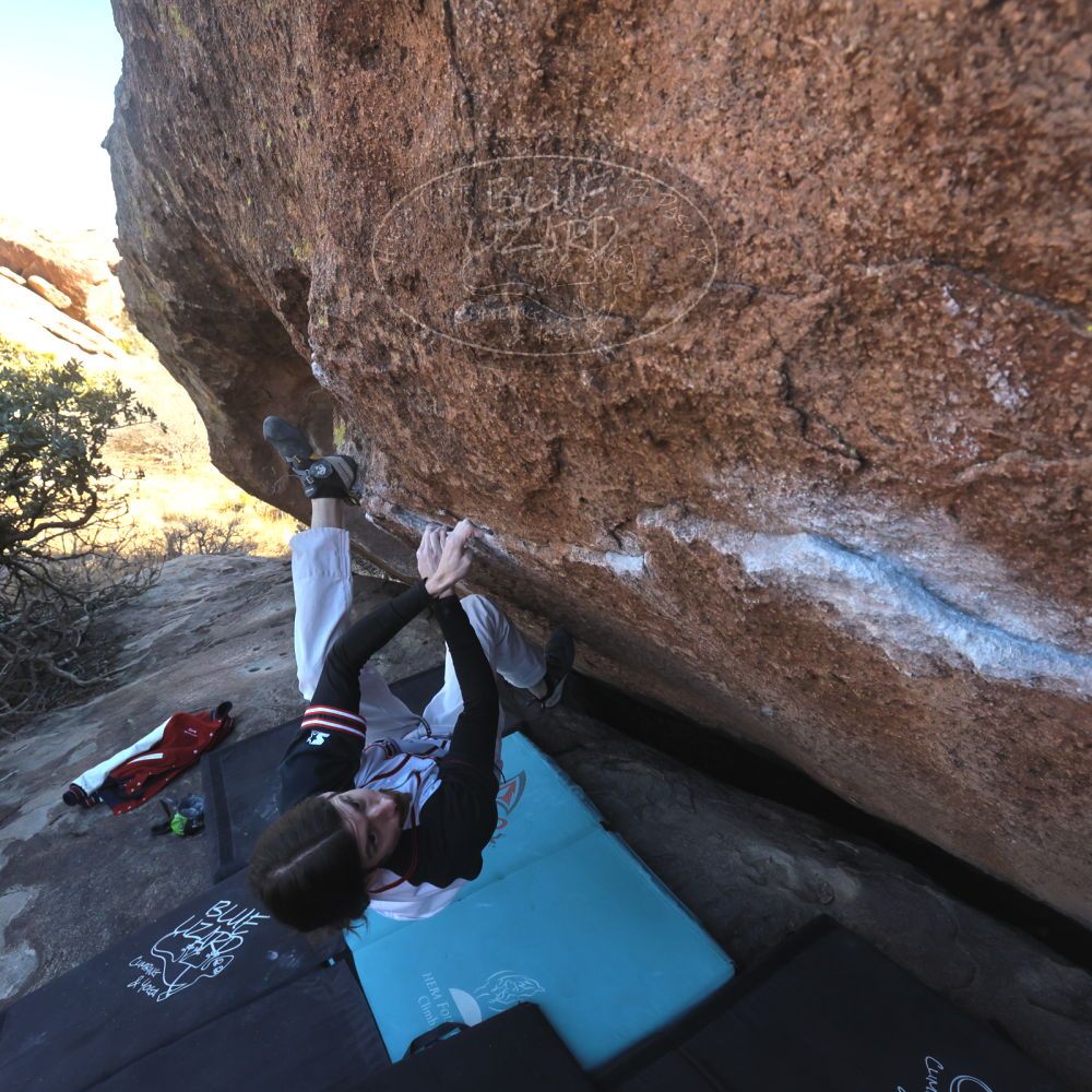 

Filename: SRM_20260118_1453260.jpg
Aperture: f/8.0
Shutter Speed: 1/400
Body: Canon EOS R6
Lens: Canon EF 16-35mm f/2.8 L