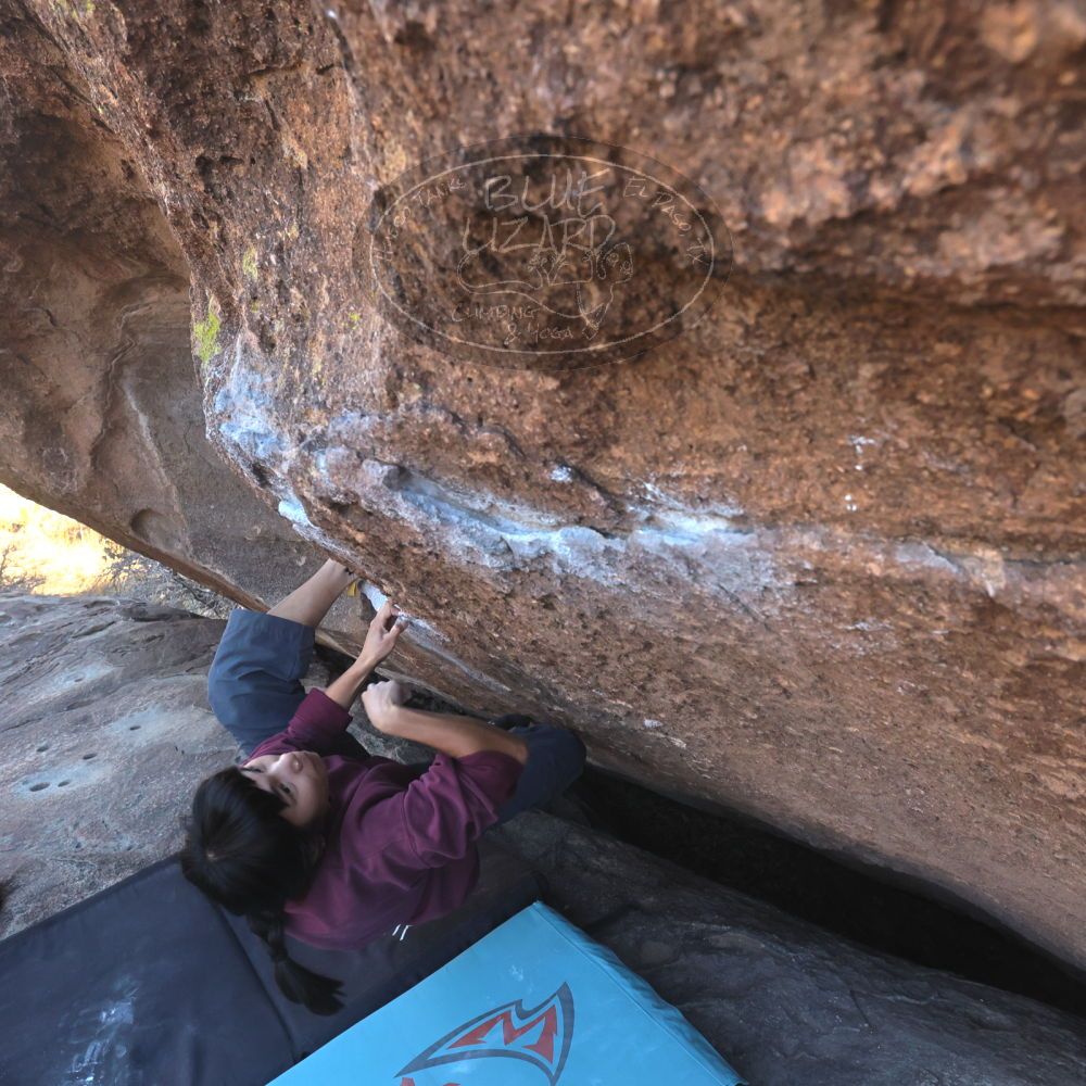 

Filename: SRM_20260118_1454050.jpg
Aperture: f/8.0
Shutter Speed: 1/400
Body: Canon EOS R6
Lens: Canon EF 16-35mm f/2.8 L