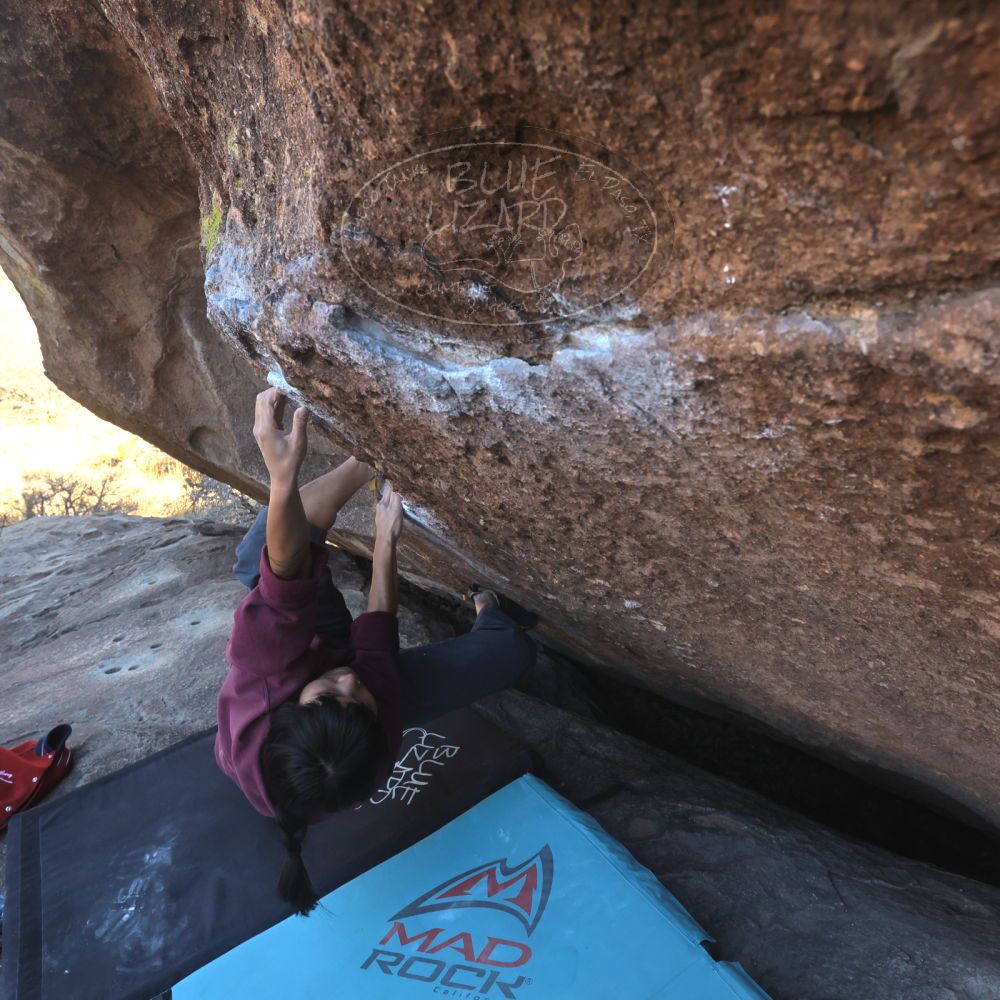 

Filename: SRM_20260118_1454490.jpg
Aperture: f/8.0
Shutter Speed: 1/400
Body: Canon EOS R6
Lens: Canon EF 16-35mm f/2.8 L