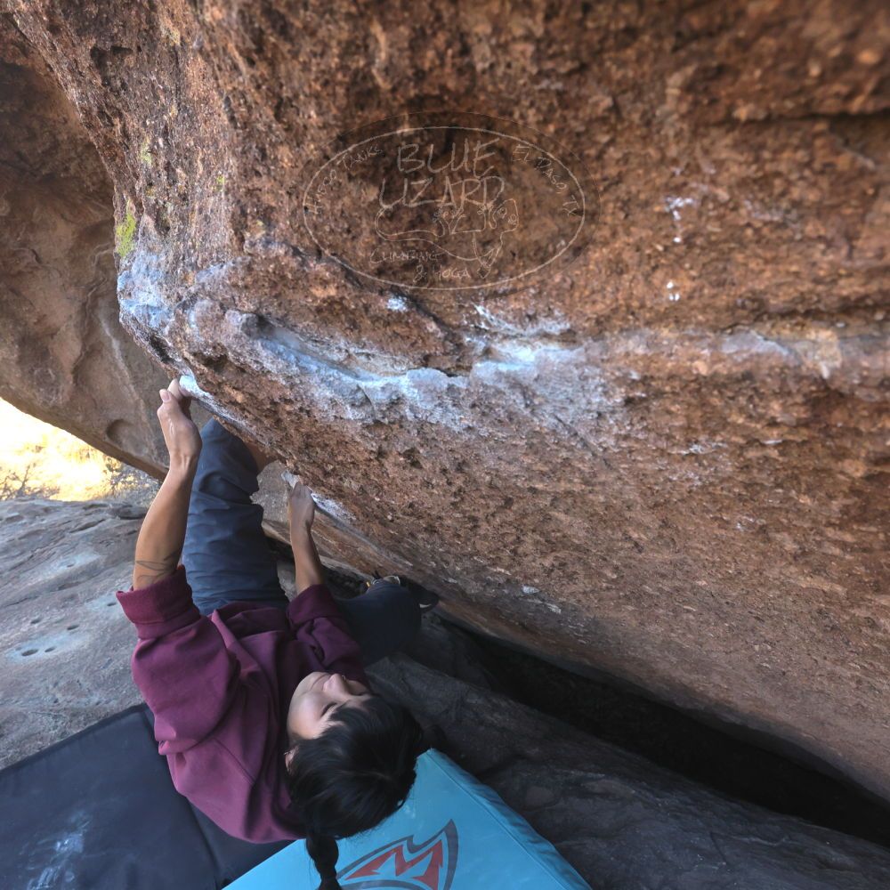 Filename: SRM_20260118_1454500.jpg
Aperture: f/8.0
Shutter Speed: 1/400
Body: Canon EOS R6
Lens: Canon EF 16-35mm f/2.8 L