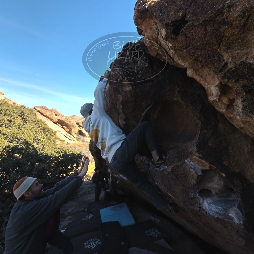 

Filename: SRM_20260118_1500460.jpg
Aperture: f/8.0
Shutter Speed: 1/400
Body: Canon EOS R6
Lens: Canon EF 16-35mm f/2.8 L