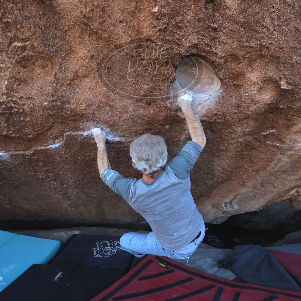 Filename: SRM_20260118_1505463.jpg
Aperture: f/8.0
Shutter Speed: 1/400
Body: Canon EOS R6
Lens: Canon EF 16-35mm f/2.8 L