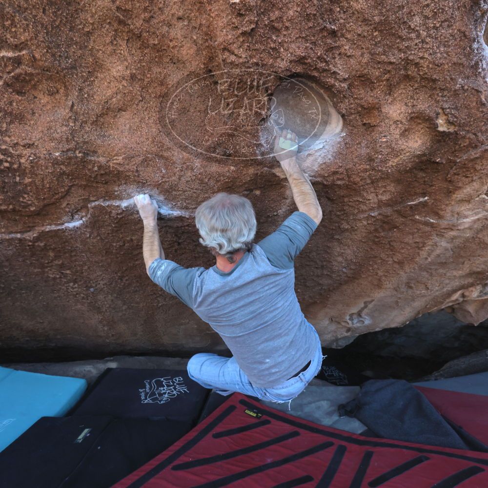 

Filename: SRM_20260118_1505470.jpg
Aperture: f/8.0
Shutter Speed: 1/400
Body: Canon EOS R6
Lens: Canon EF 16-35mm f/2.8 L