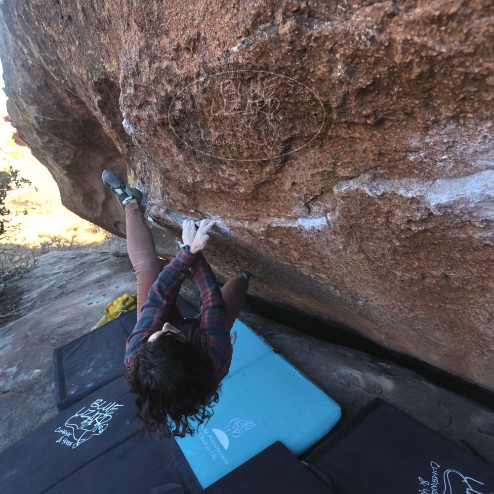 

Filename: SRM_20260118_1512140.jpg
Aperture: f/8.0
Shutter Speed: 1/400
Body: Canon EOS R6
Lens: Canon EF 16-35mm f/2.8 L