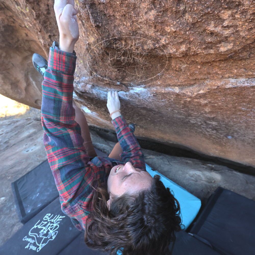 

Filename: SRM_20260118_1513370.jpg
Aperture: f/8.0
Shutter Speed: 1/400
Body: Canon EOS R6
Lens: Canon EF 16-35mm f/2.8 L