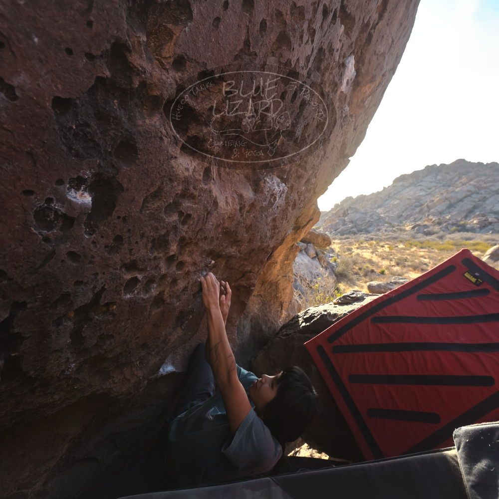 

Filename: SRM_20260118_1555280.jpg
Aperture: f/5.6
Shutter Speed: 1/400
Body: Canon EOS R6
Lens: Canon EF 16-35mm f/2.8 L