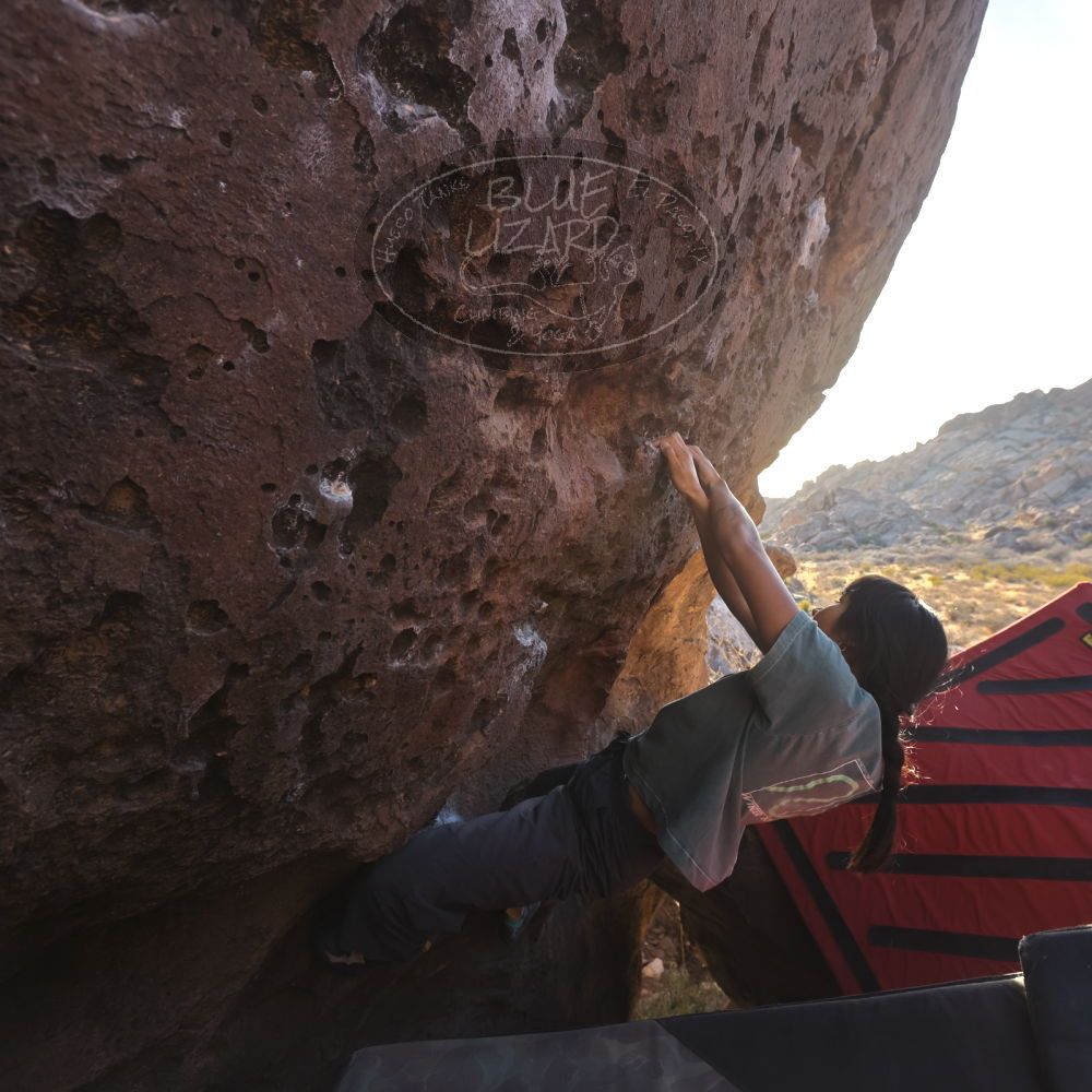 Filename: SRM_20260118_1555370.jpg
Aperture: f/5.6
Shutter Speed: 1/400
Body: Canon EOS R6
Lens: Canon EF 16-35mm f/2.8 L