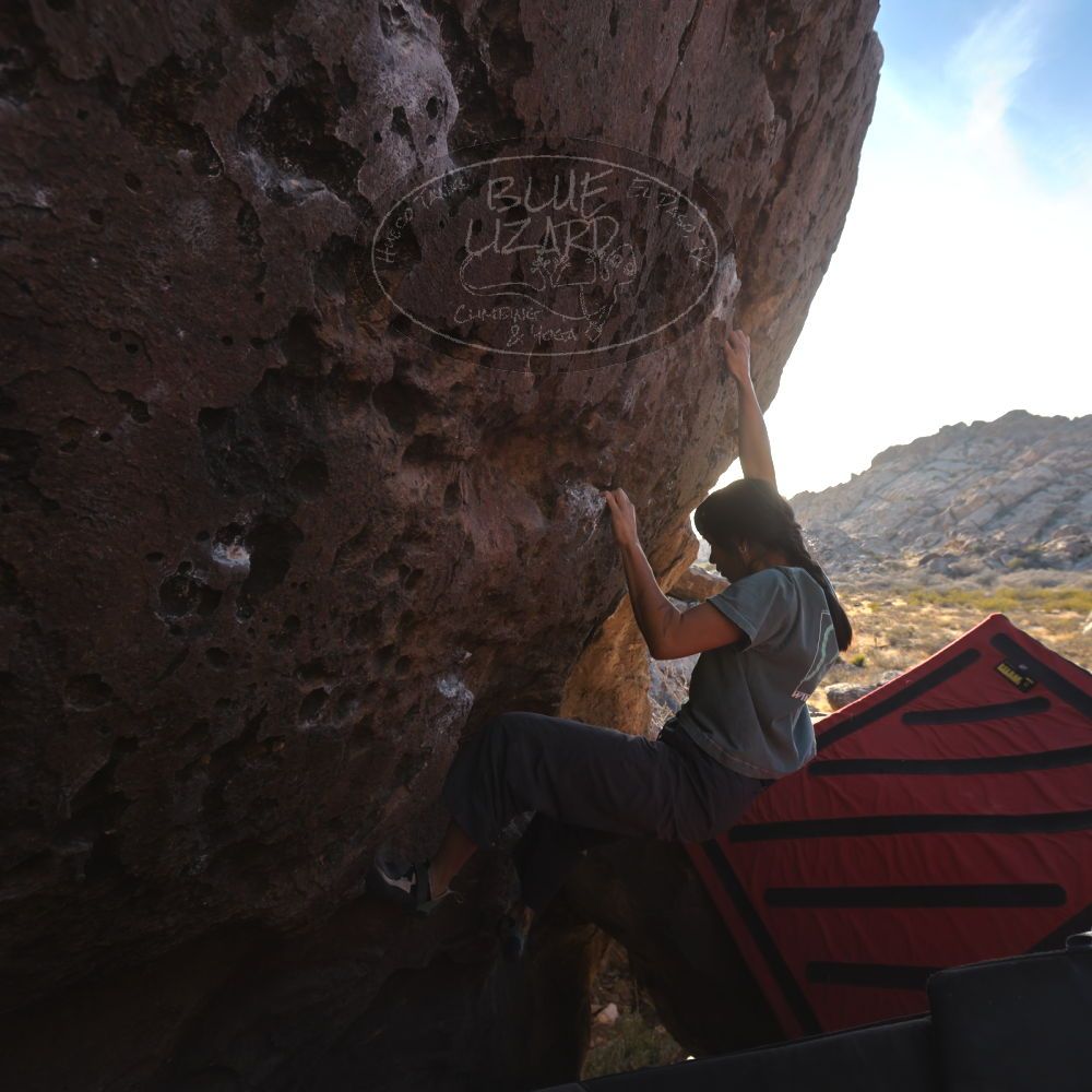 

Filename: SRM_20260118_1555410.jpg
Aperture: f/5.6
Shutter Speed: 1/400
Body: Canon EOS R6
Lens: Canon EF 16-35mm f/2.8 L