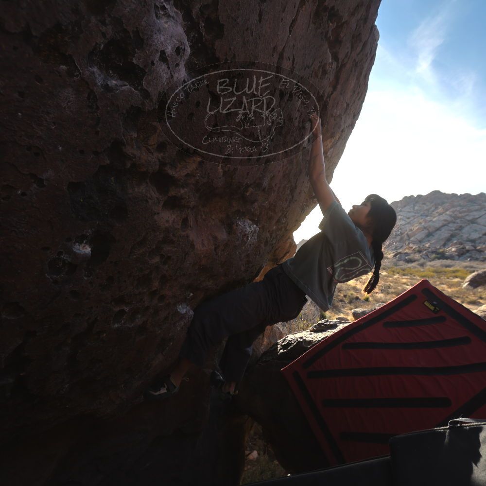 Filename: SRM_20260118_1555420.jpg
Aperture: f/5.6
Shutter Speed: 1/400
Body: Canon EOS R6
Lens: Canon EF 16-35mm f/2.8 L