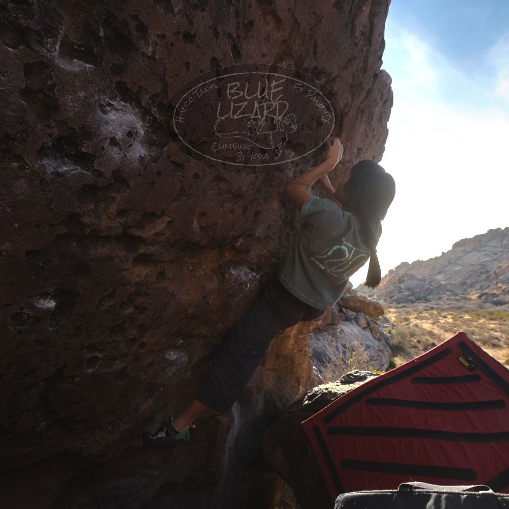 Filename: SRM_20260118_1555480.jpg
Aperture: f/5.6
Shutter Speed: 1/400
Body: Canon EOS R6
Lens: Canon EF 16-35mm f/2.8 L