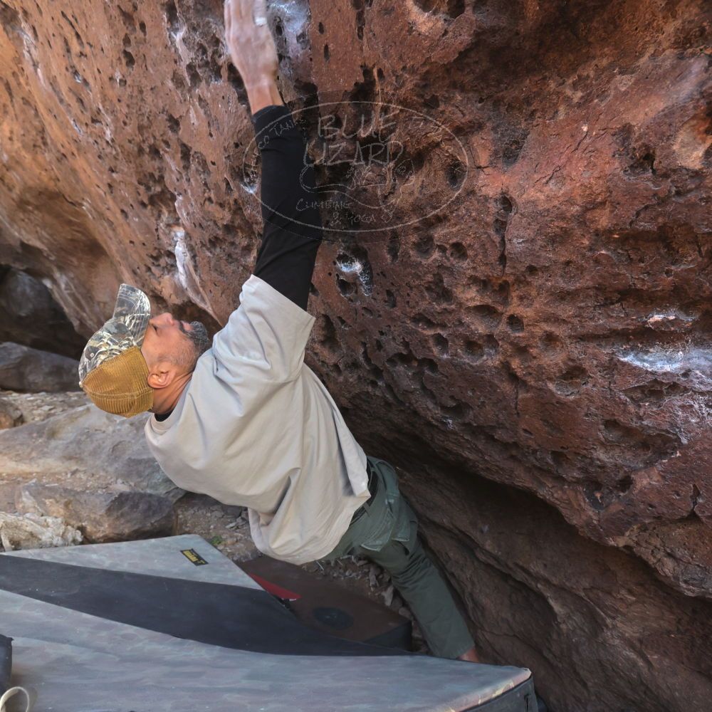 

Filename: SRM_20260118_1557570.jpg
Aperture: f/5.6
Shutter Speed: 1/400
Body: Canon EOS R6
Lens: Canon EF 16-35mm f/2.8 L