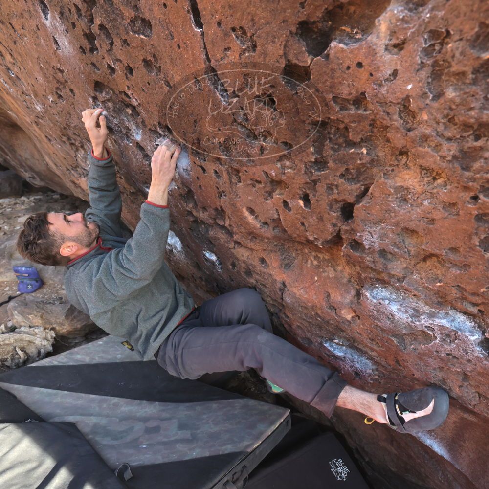 

Filename: SRM_20260118_1559300.jpg
Aperture: f/5.6
Shutter Speed: 1/400
Body: Canon EOS R6
Lens: Canon EF 16-35mm f/2.8 L