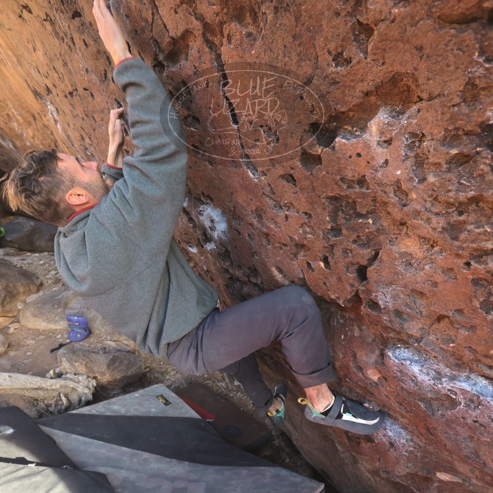 

Filename: SRM_20260118_1559340.jpg
Aperture: f/5.6
Shutter Speed: 1/400
Body: Canon EOS R6
Lens: Canon EF 16-35mm f/2.8 L