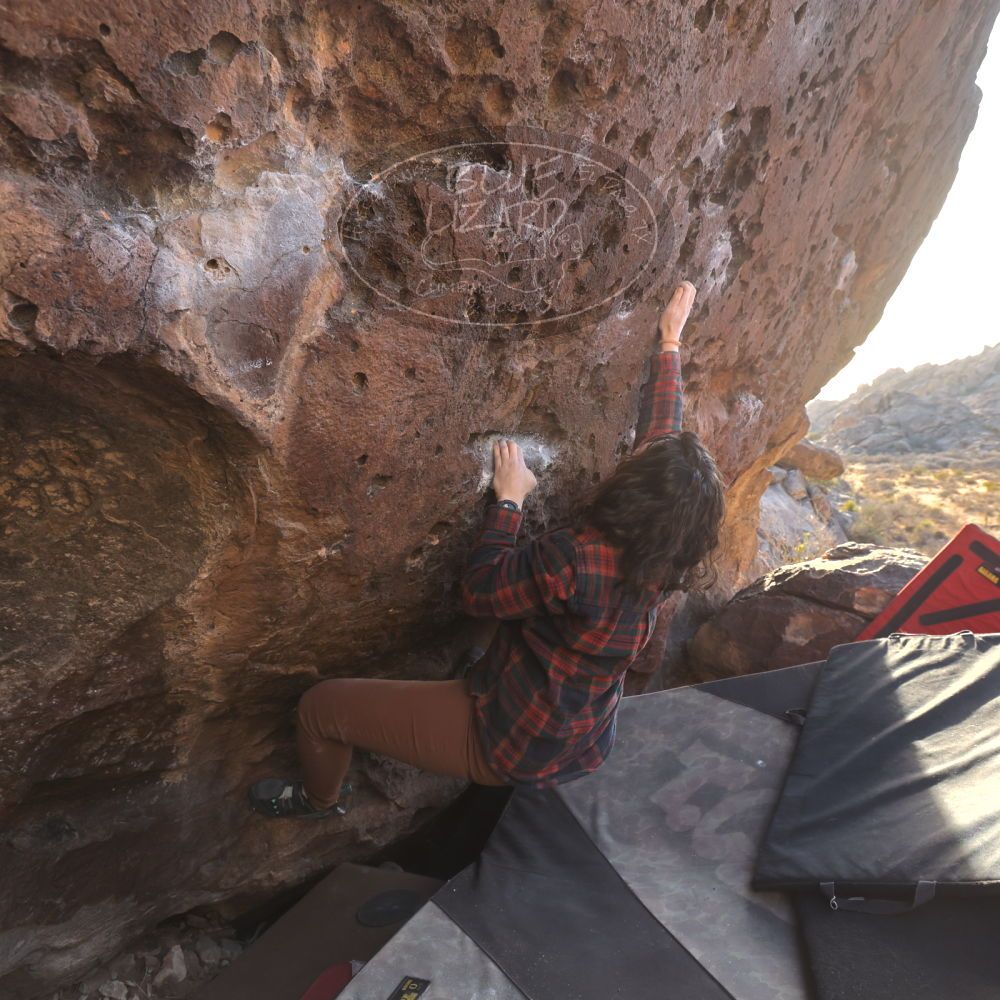 

Filename: SRM_20260118_1601060.jpg
Aperture: f/5.6
Shutter Speed: 1/400
Body: Canon EOS R6
Lens: Canon EF 16-35mm f/2.8 L