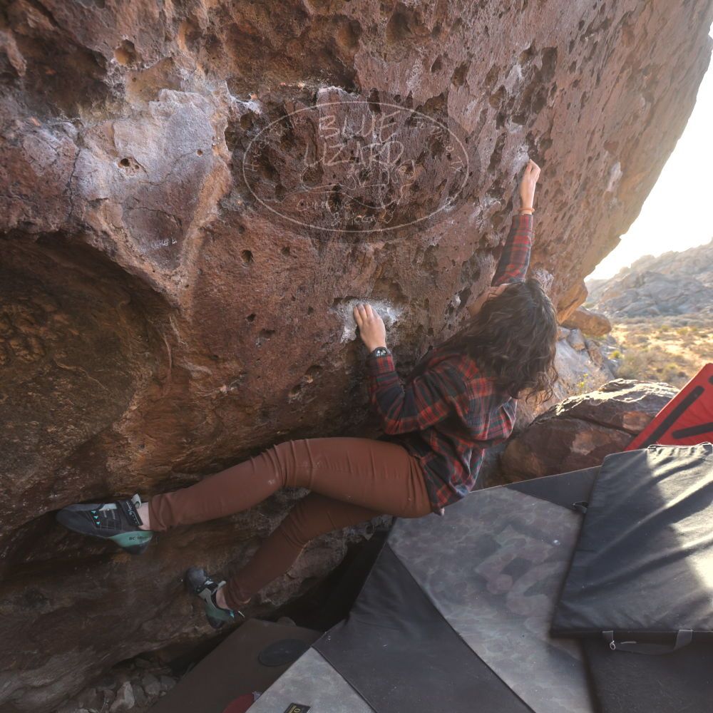 Filename: SRM_20260118_1601190.jpg
Aperture: f/5.6
Shutter Speed: 1/400
Body: Canon EOS R6
Lens: Canon EF 16-35mm f/2.8 L