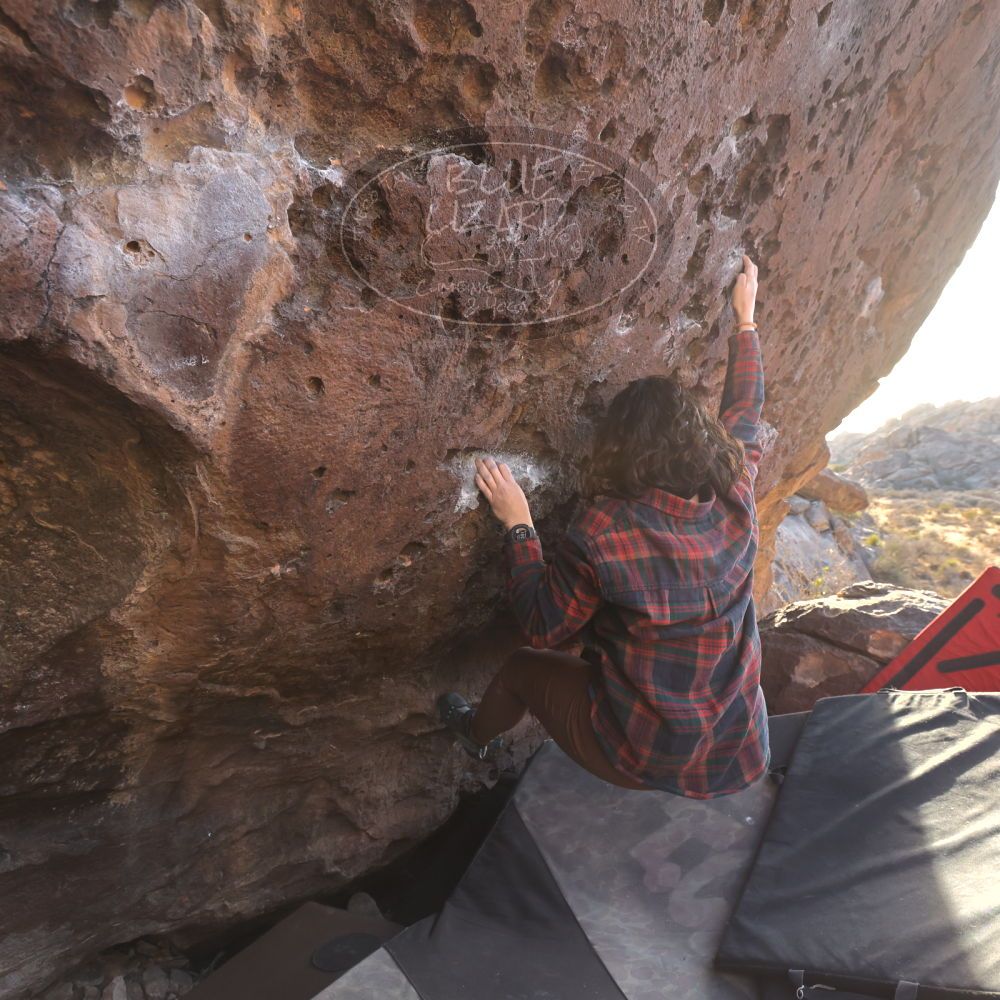 

Filename: SRM_20260118_1601550.jpg
Aperture: f/5.6
Shutter Speed: 1/400
Body: Canon EOS R6
Lens: Canon EF 16-35mm f/2.8 L