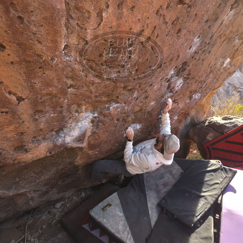 Filename: SRM_20260118_1604280.jpg
Aperture: f/5.6
Shutter Speed: 1/400
Body: Canon EOS R6
Lens: Canon EF 16-35mm f/2.8 L