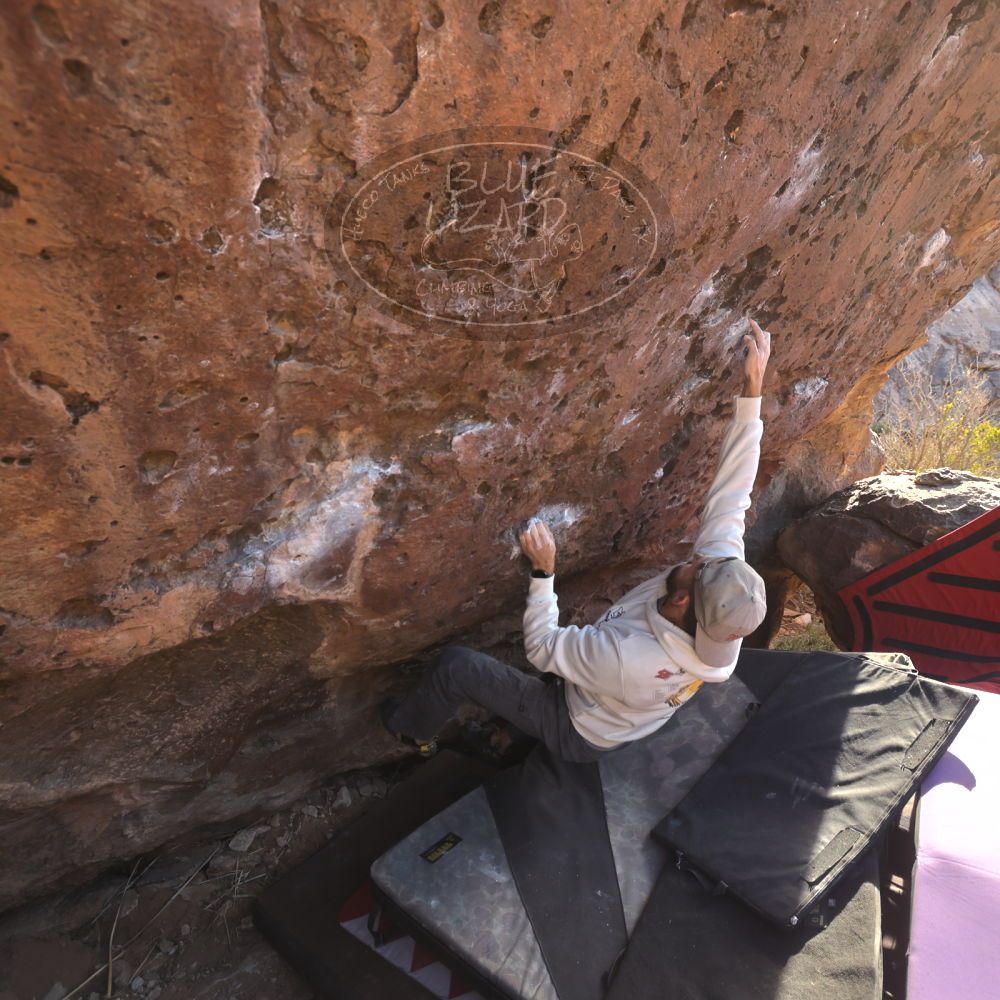 

Filename: SRM_20260118_1604282.jpg
Aperture: f/5.6
Shutter Speed: 1/400
Body: Canon EOS R6
Lens: Canon EF 16-35mm f/2.8 L