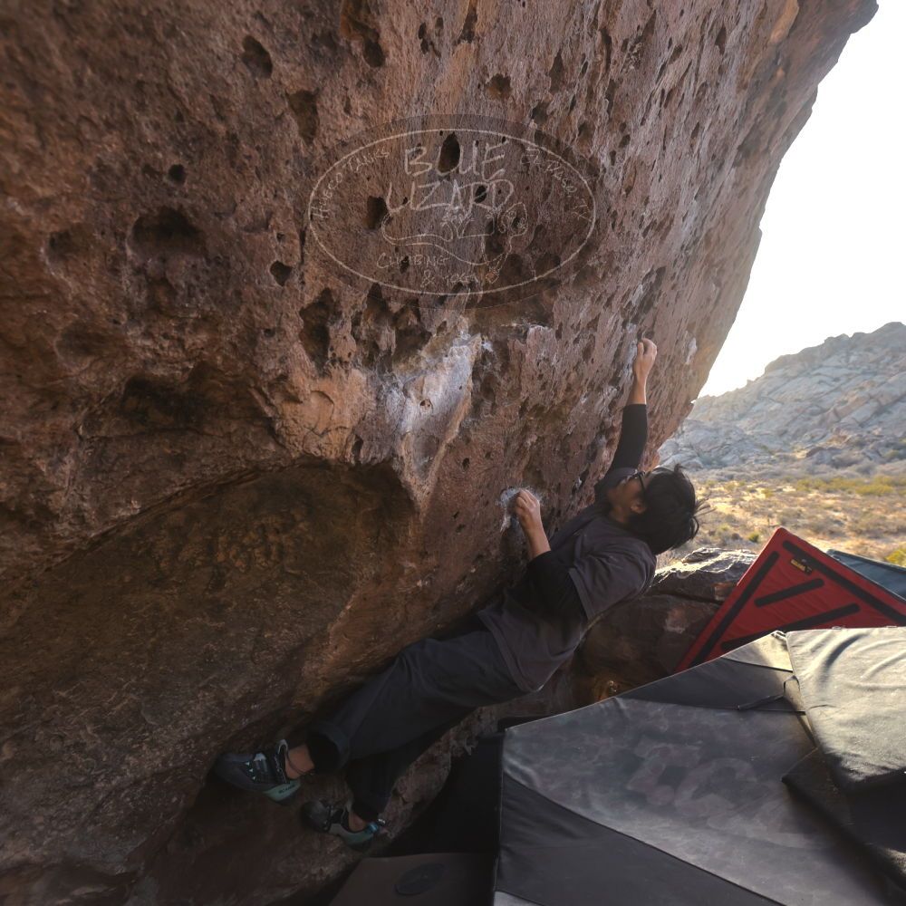 

Filename: SRM_20260118_1609200.jpg
Aperture: f/5.6
Shutter Speed: 1/400
Body: Canon EOS R6
Lens: Canon EF 16-35mm f/2.8 L