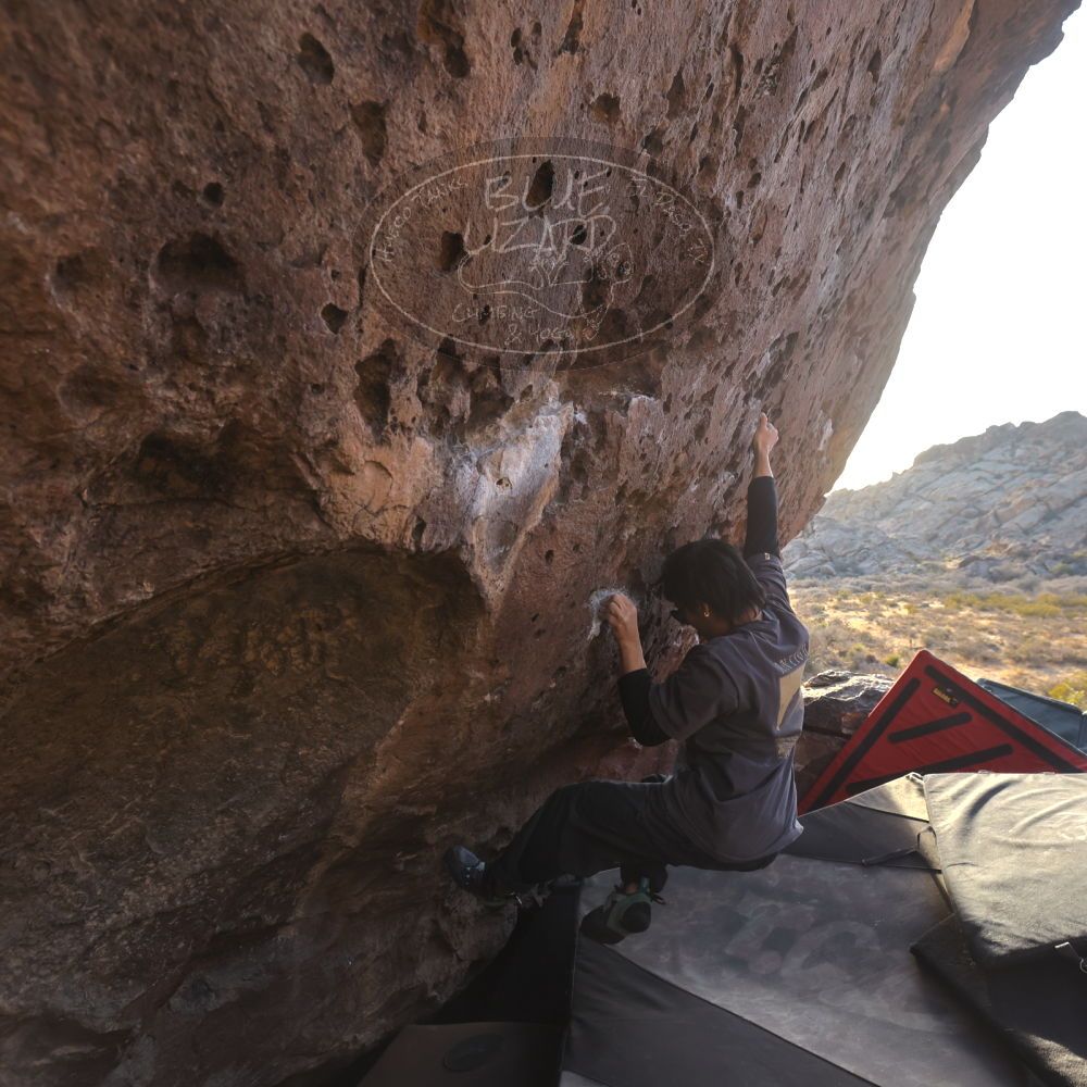 

Filename: SRM_20260118_1609240.jpg
Aperture: f/5.6
Shutter Speed: 1/400
Body: Canon EOS R6
Lens: Canon EF 16-35mm f/2.8 L