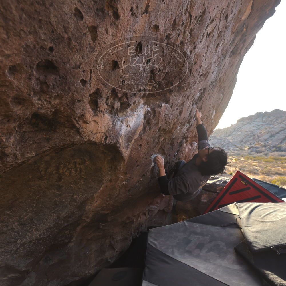 

Filename: SRM_20260118_1609270.jpg
Aperture: f/5.6
Shutter Speed: 1/400
Body: Canon EOS R6
Lens: Canon EF 16-35mm f/2.8 L